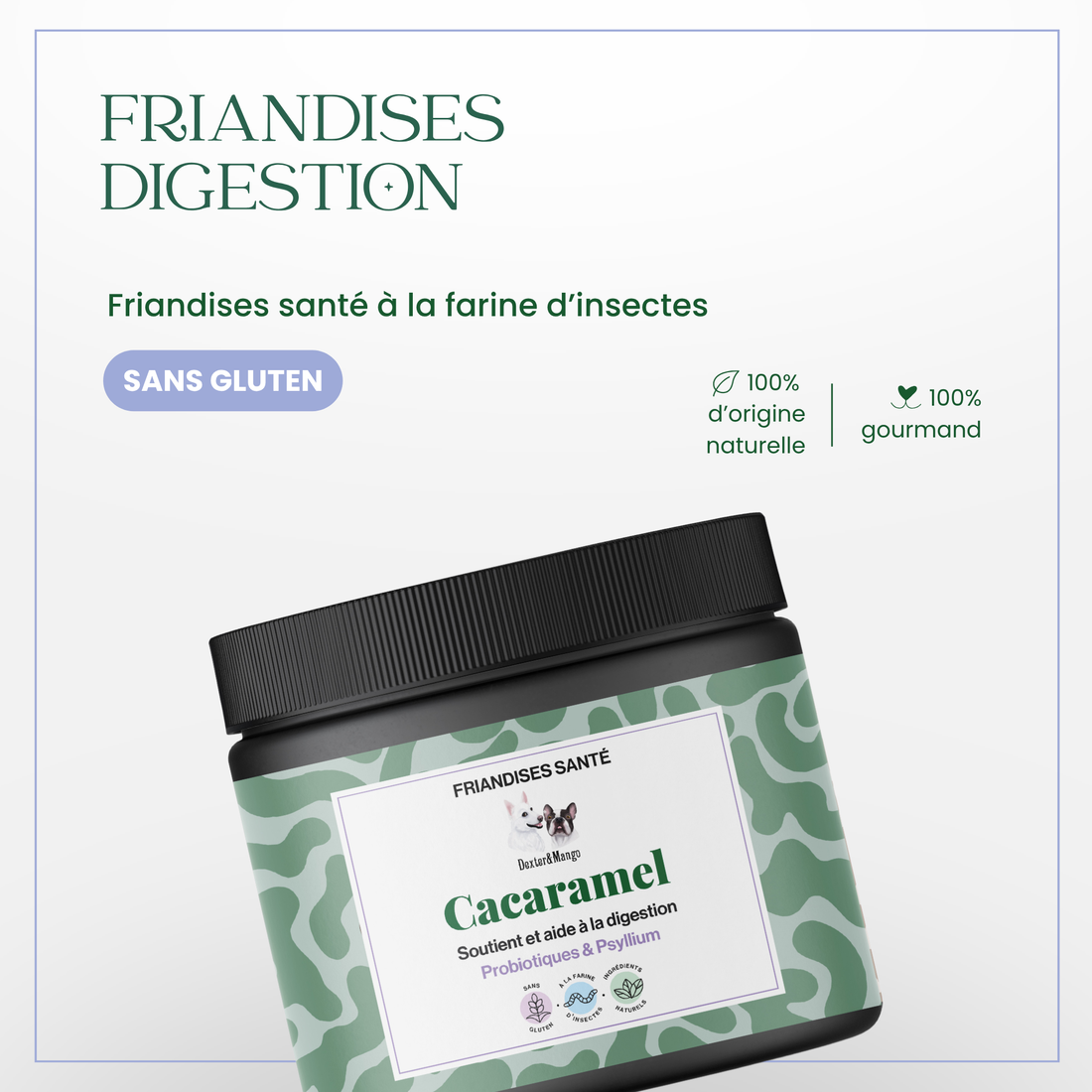 Digestion chien : Friandises santé Cacaramel