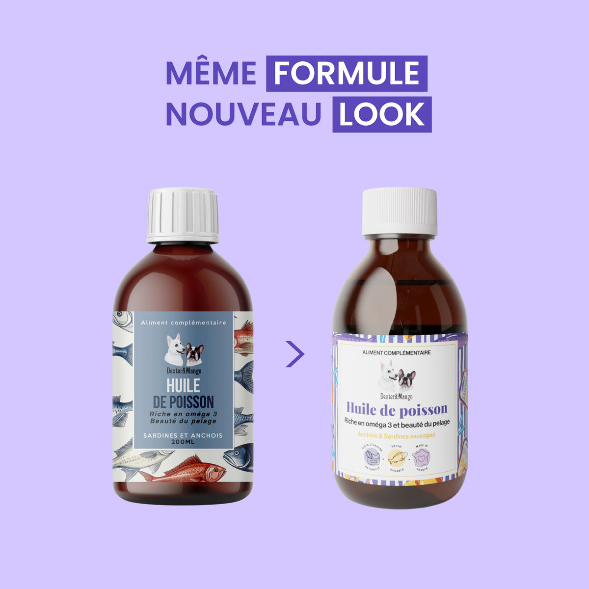 Huile de poisson : Aliment complémentaire