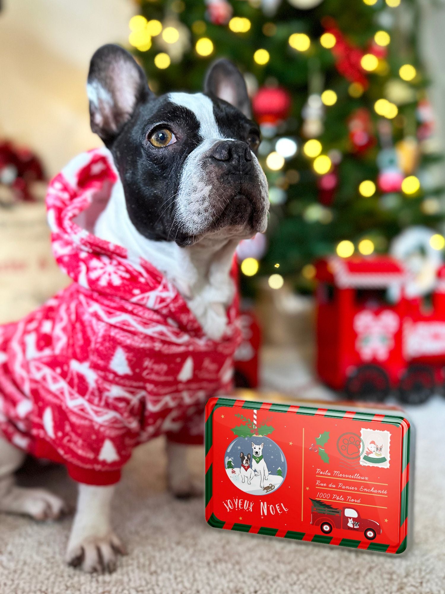 Boite de Noël D&M