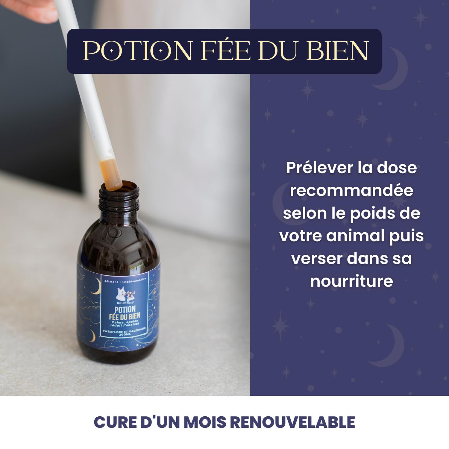 Complément alimentaire anti-stress chien : Potion Fée du Bien pour un quotidien apaisé