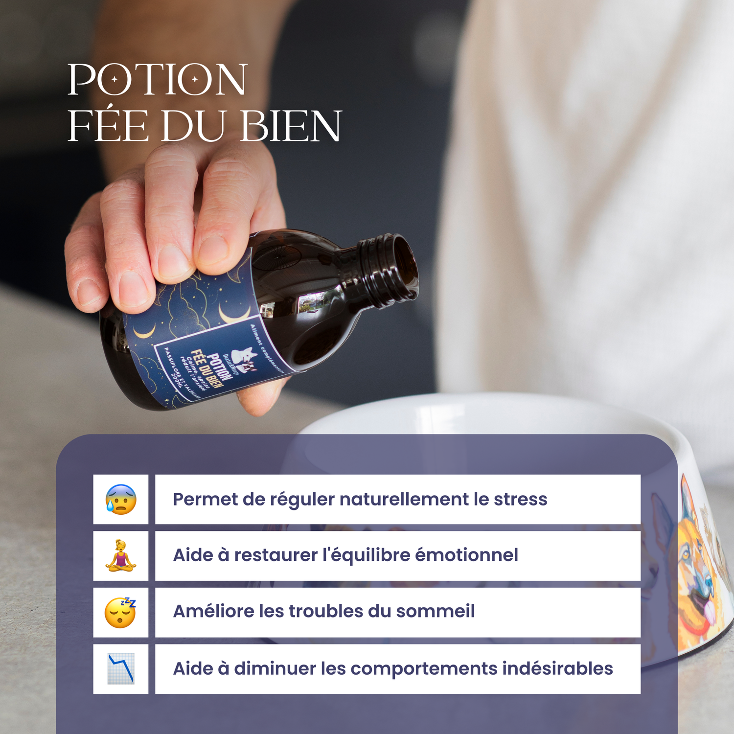 Complément alimentaire anti-stress chien : Potion Fée du Bien pour un quotidien apaisé
