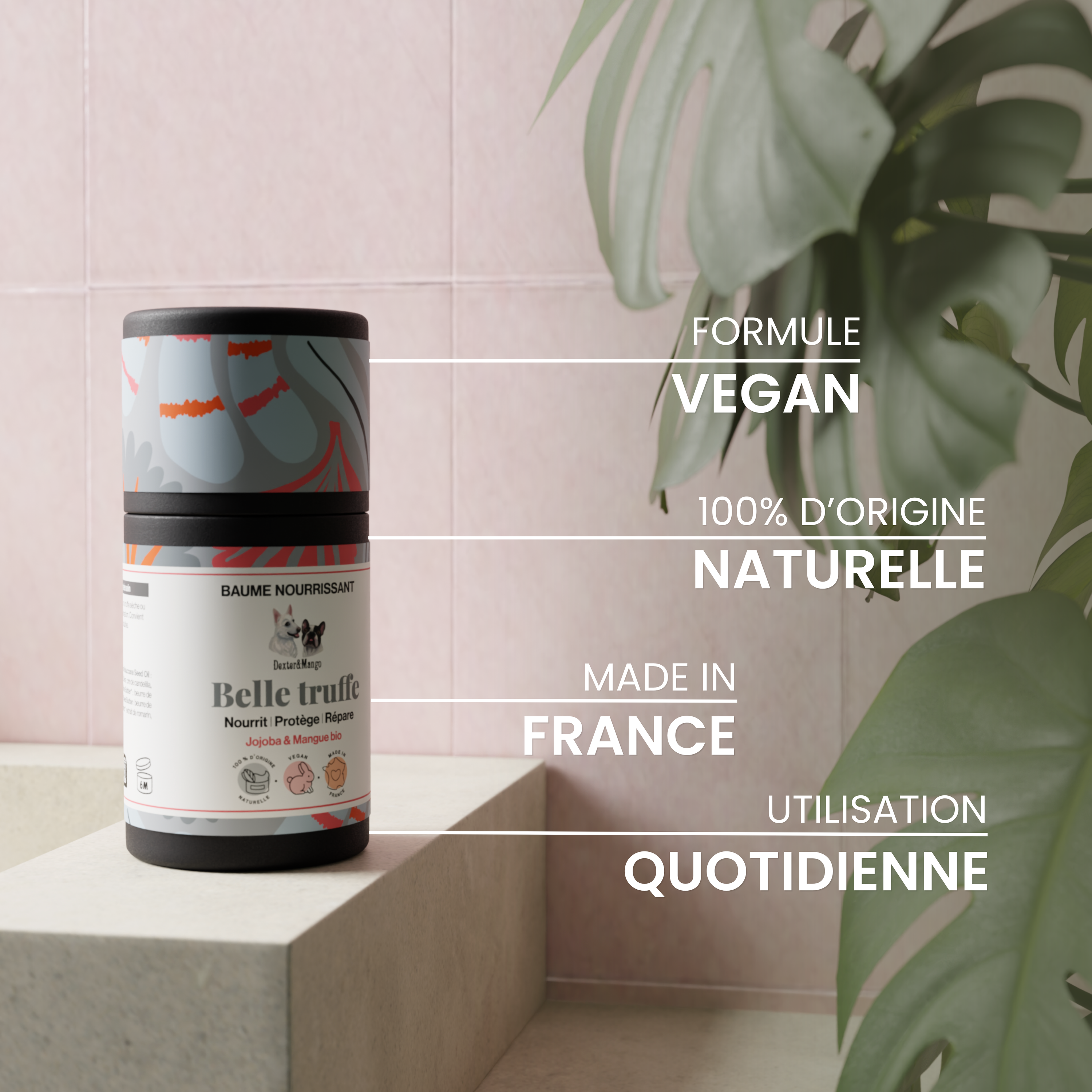 Truffe de chien abimée : Stick Belle truffe à la rescousse