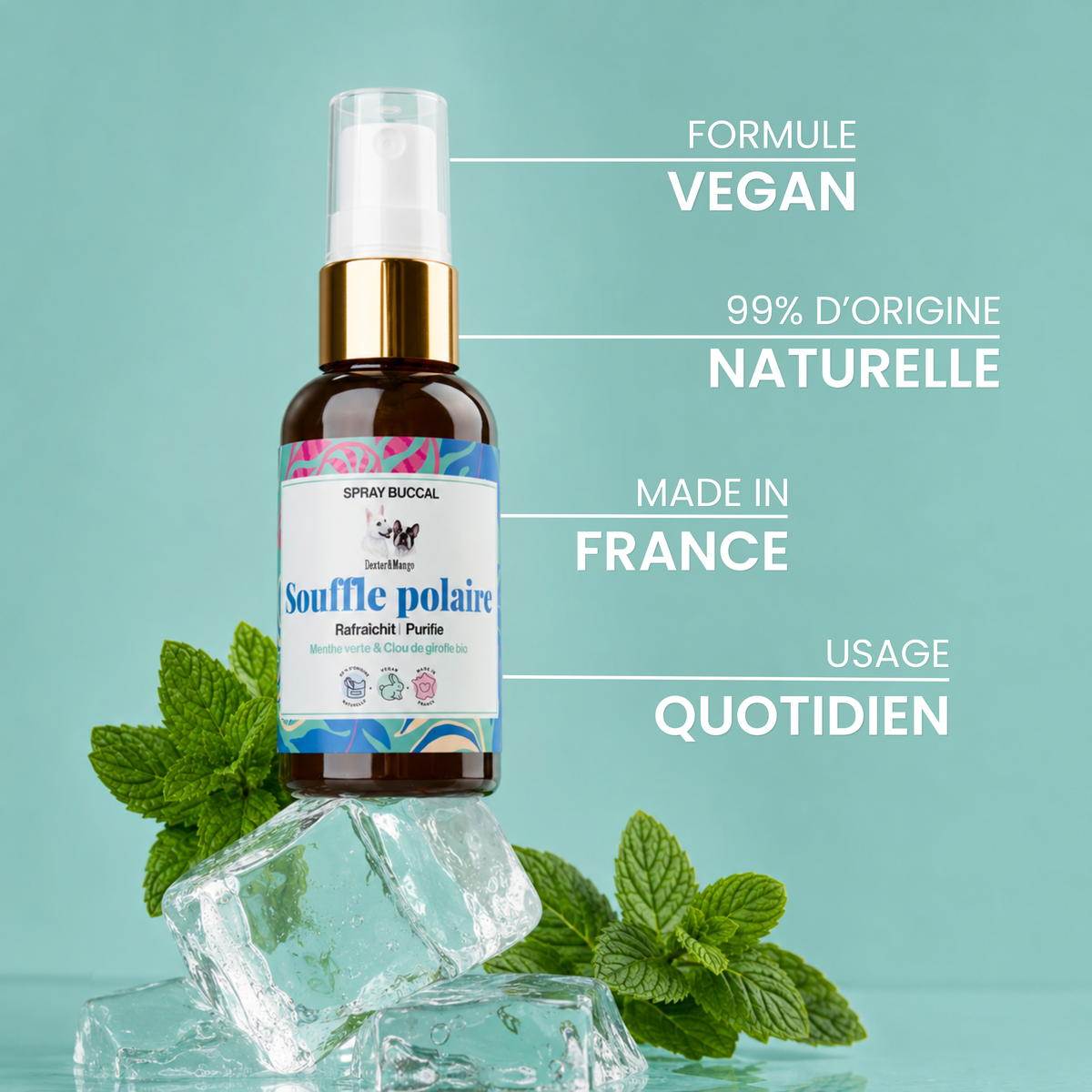 Spray buccal pour chien : Souffle polaire