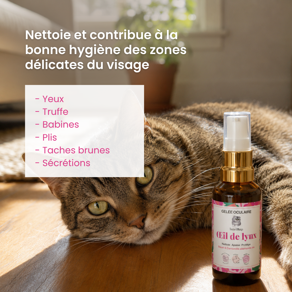 Nettoyant yeux chat : Œil de Lynx