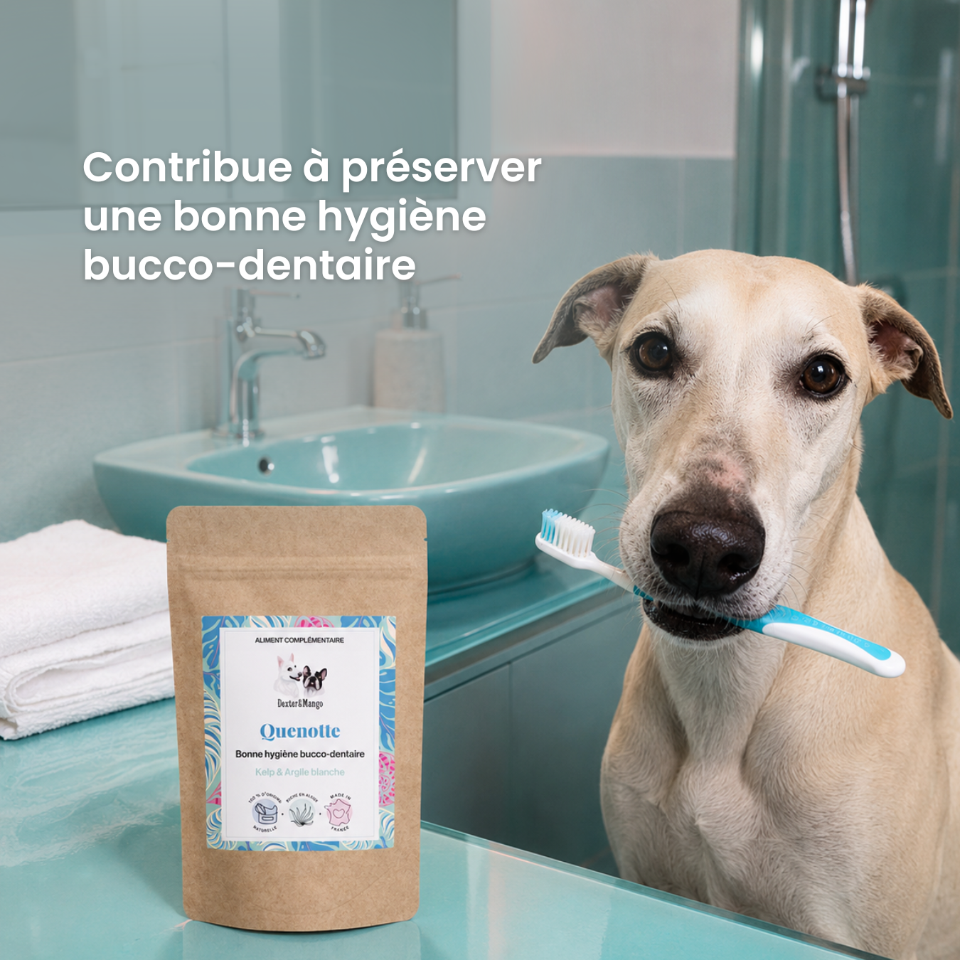 Hygiène dentaire du chien et du chat : L&