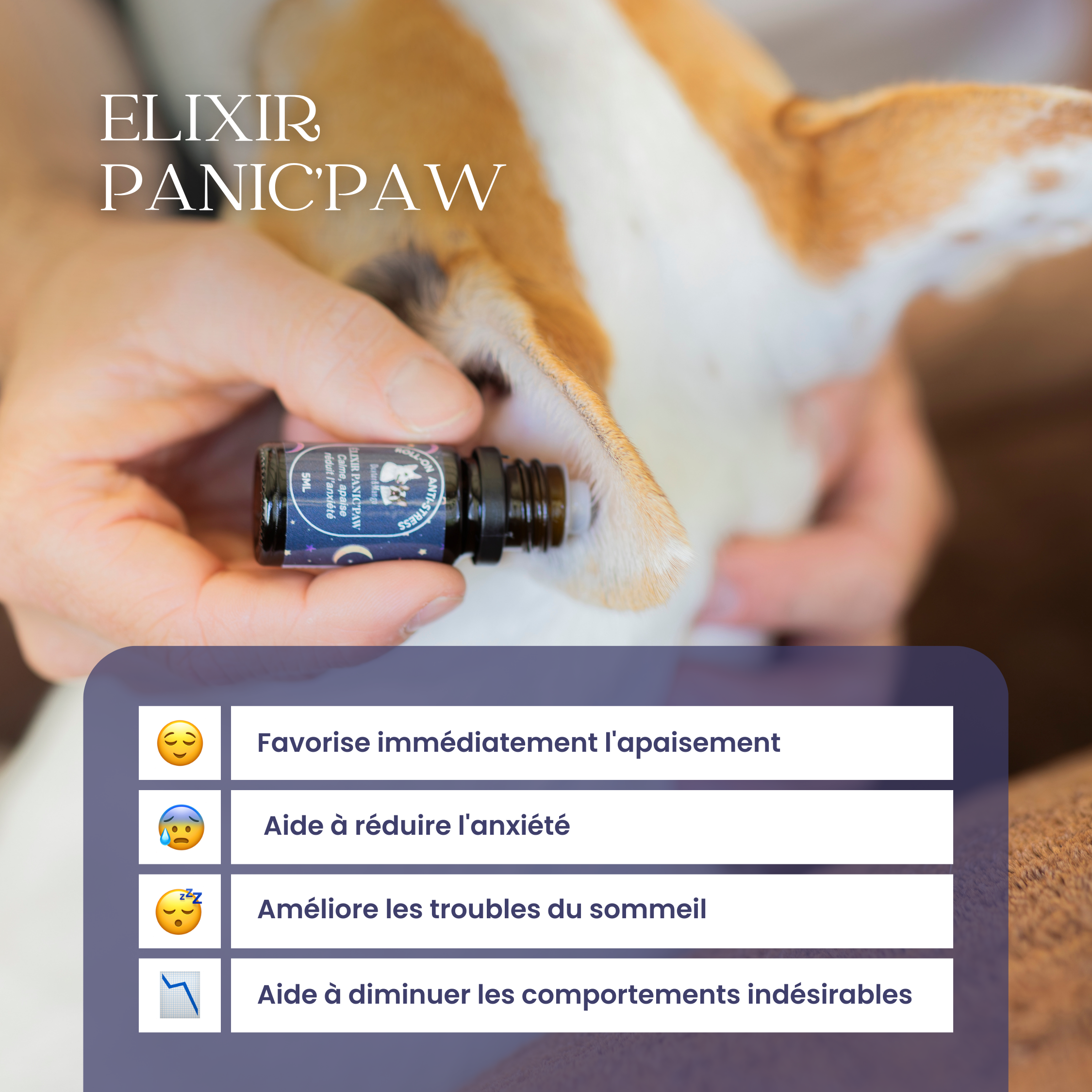 Roll-on anti-stress chien : Panic’paw, l’élixir de sérénité à emporter partout