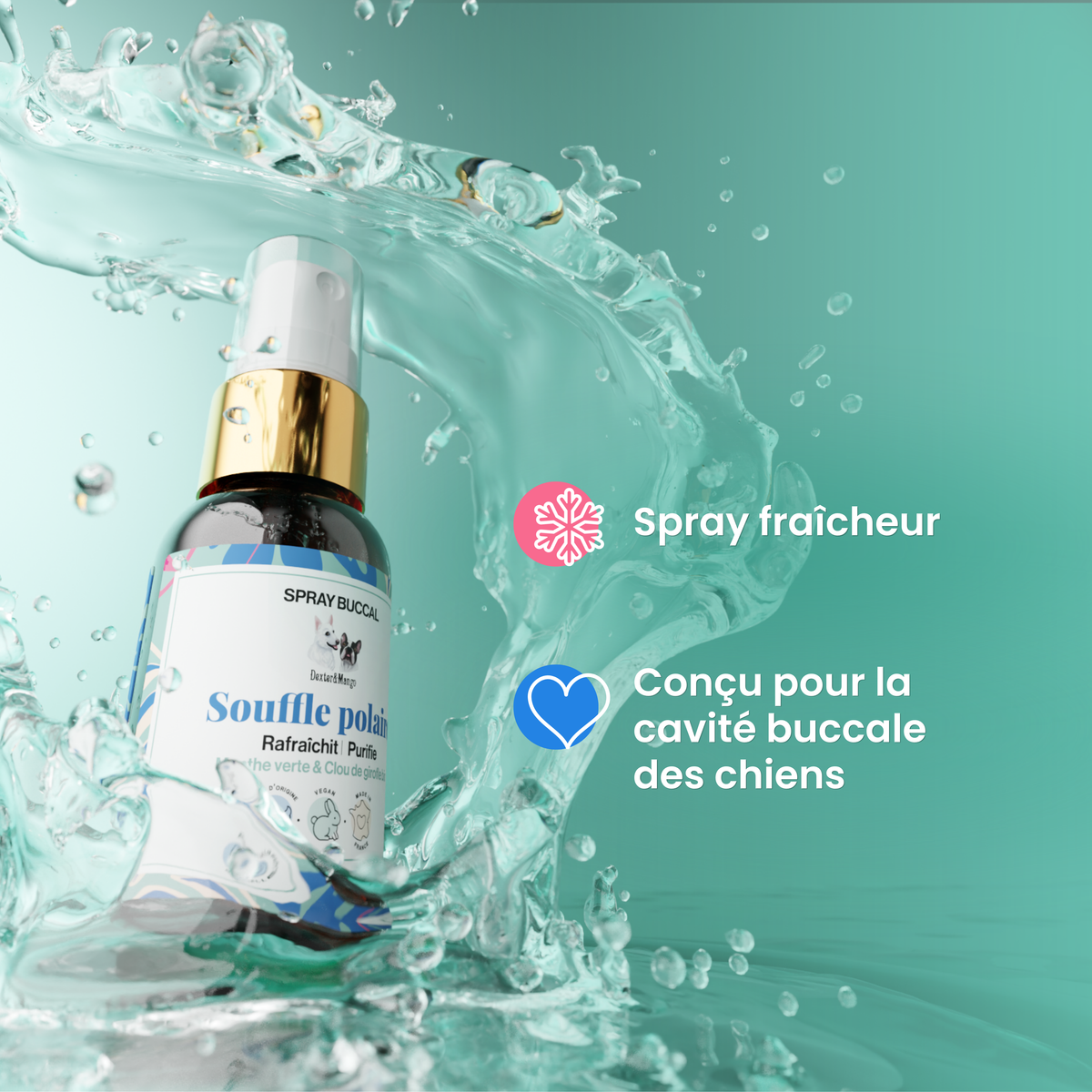 Spray buccal pour chien : Souffle polaire