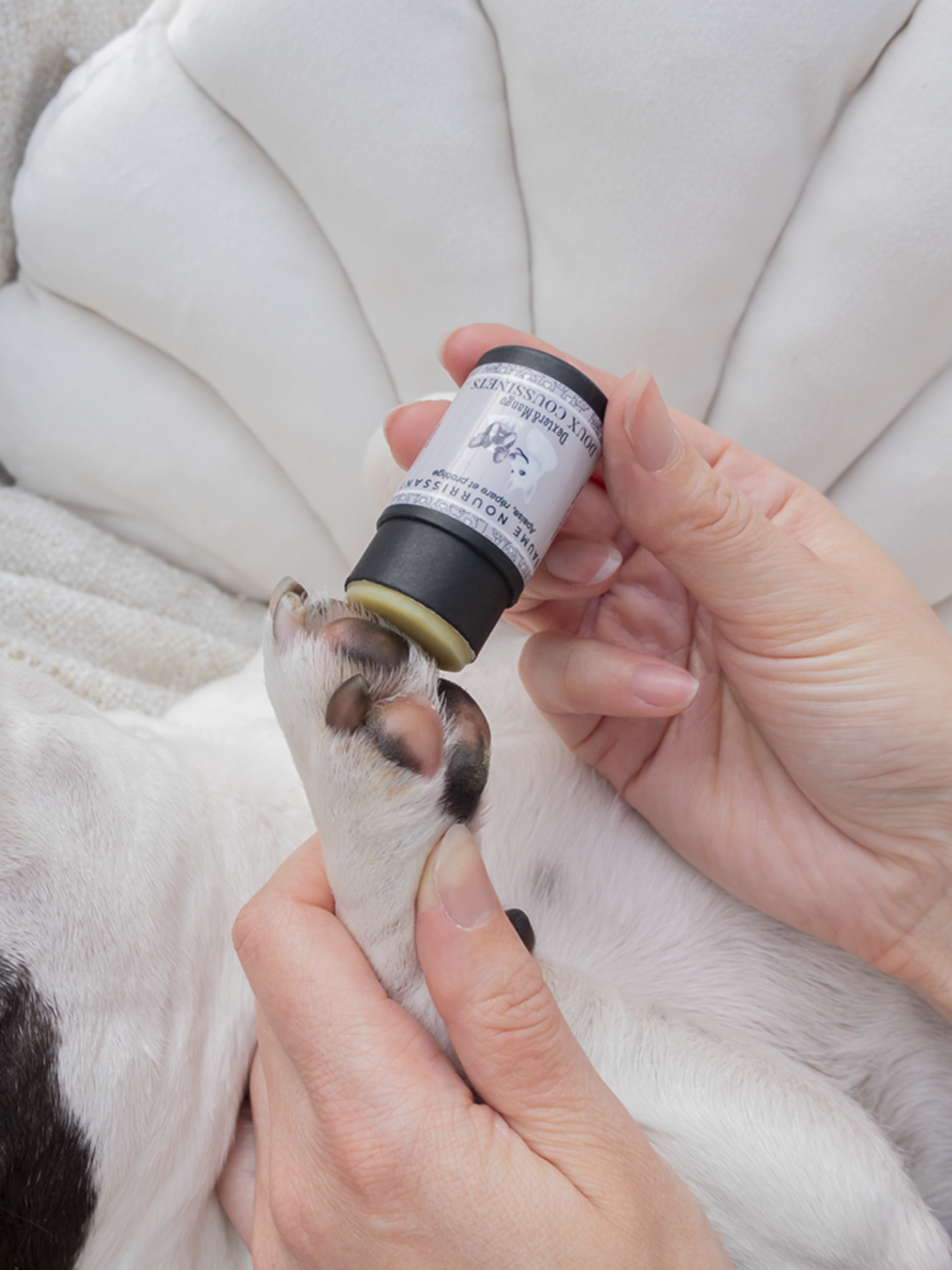 Application du stick Doux Coussinets de Dexter & Mango sur les pattes d’un chien pour les nourrir et les réparer