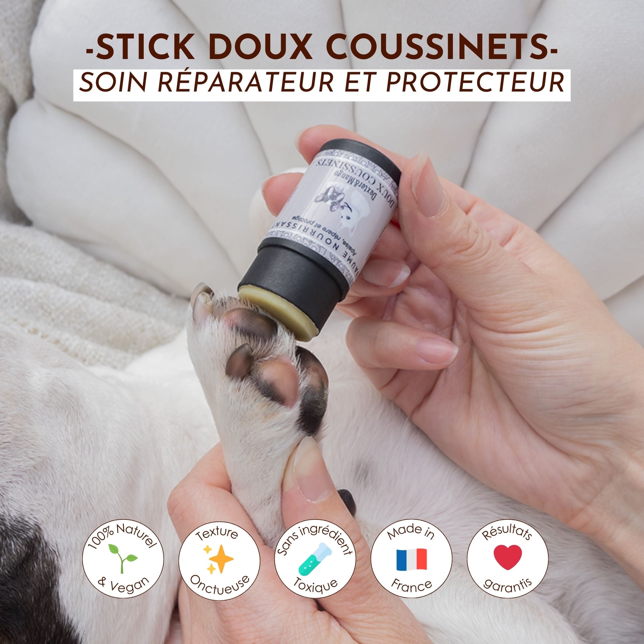 Application du stick Doux Coussinets sur la patte d’un chien pour nourrir et réparer les coussinets secs et abîmés.