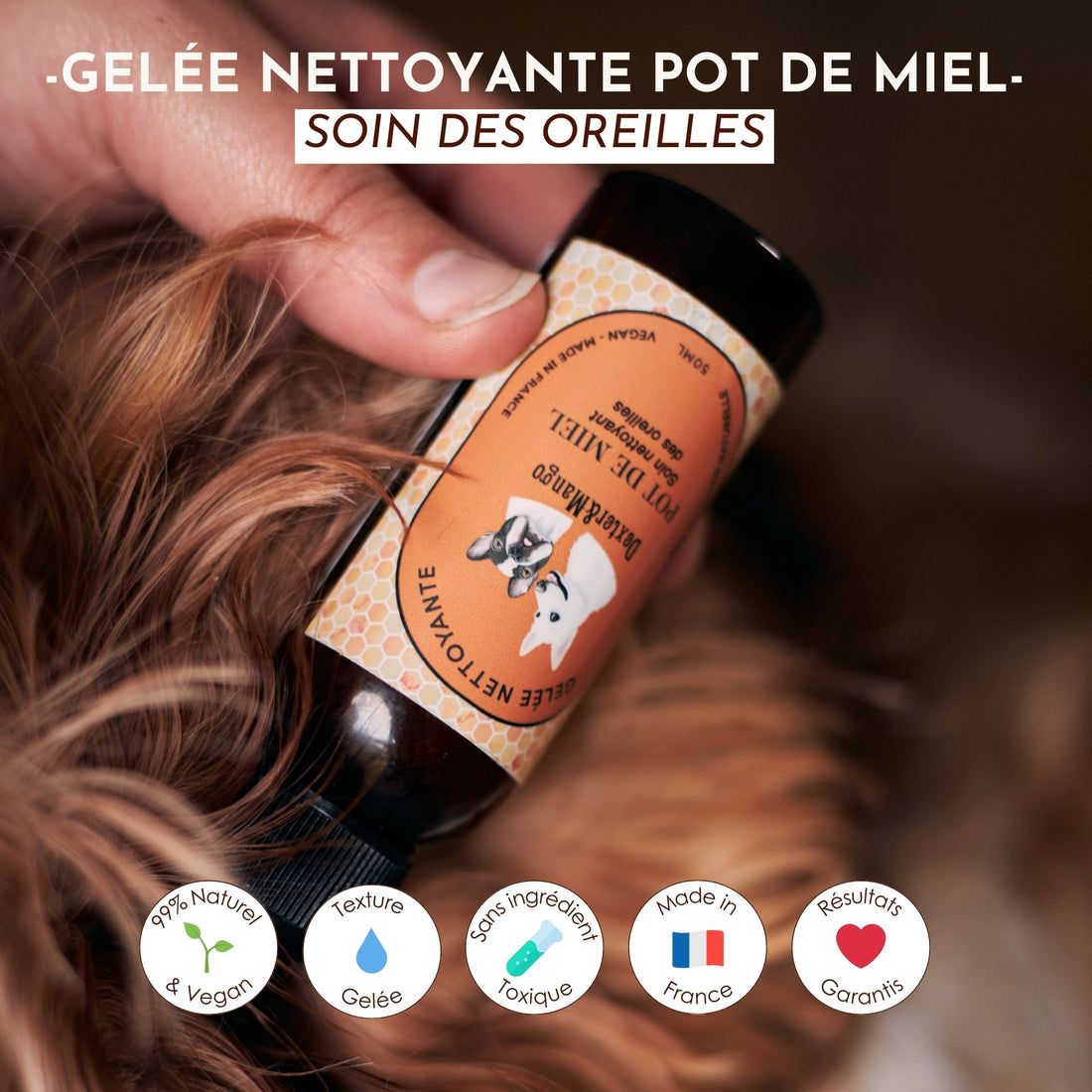 Application de la gelée Pot de Miel dans l’oreille d’un chien avec visuels des labels naturels et français