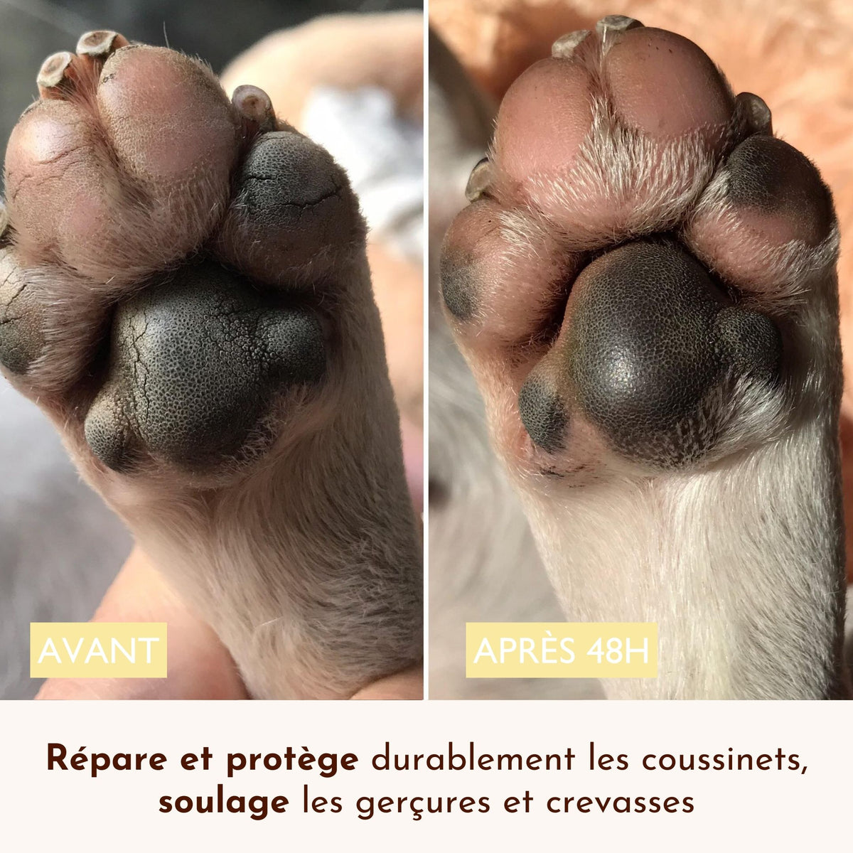 Comparatif avant/après 48h d’application du stick Doux Coussinets sur des coussinets craquelés et abîmés.