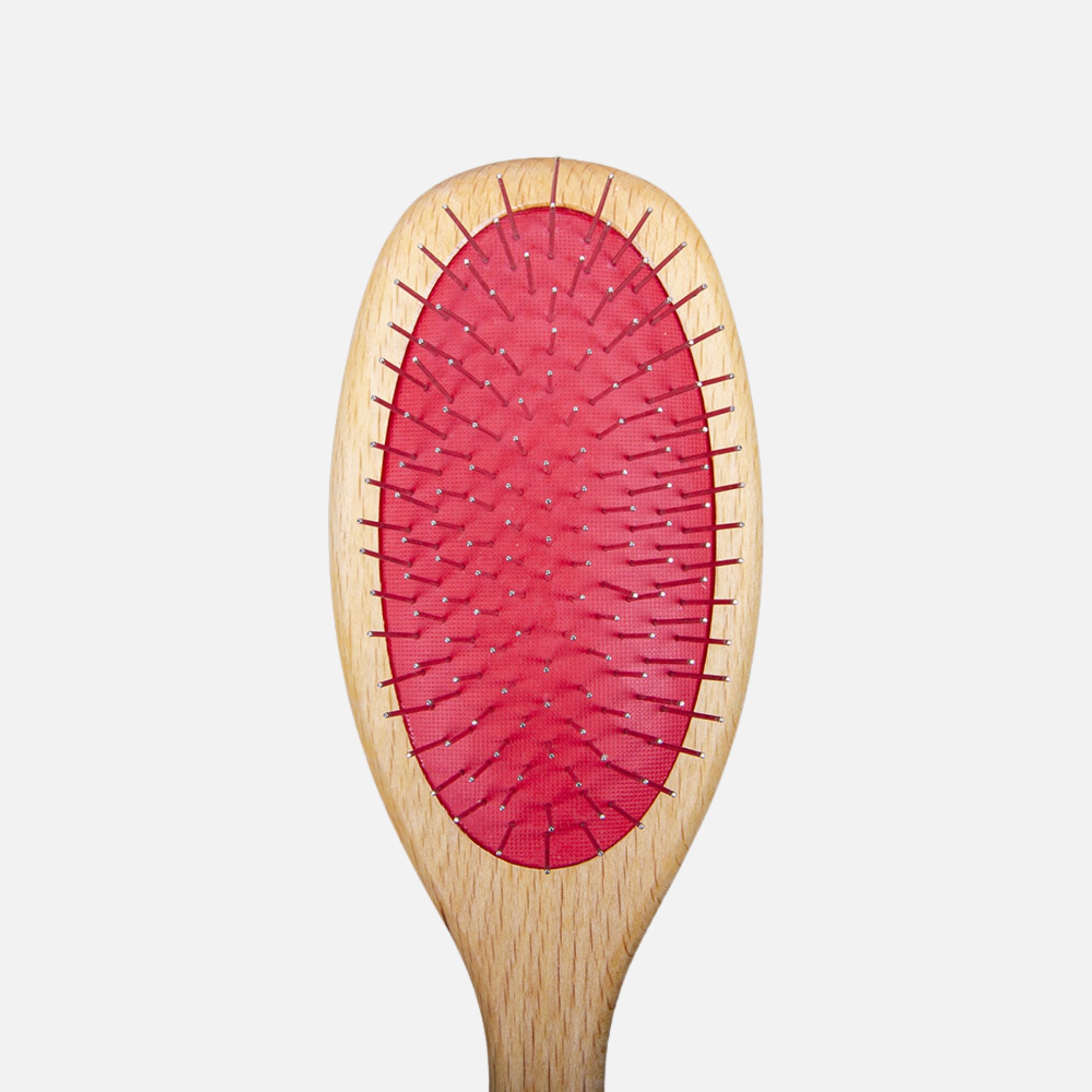 Brosse double face en bois de hêtre