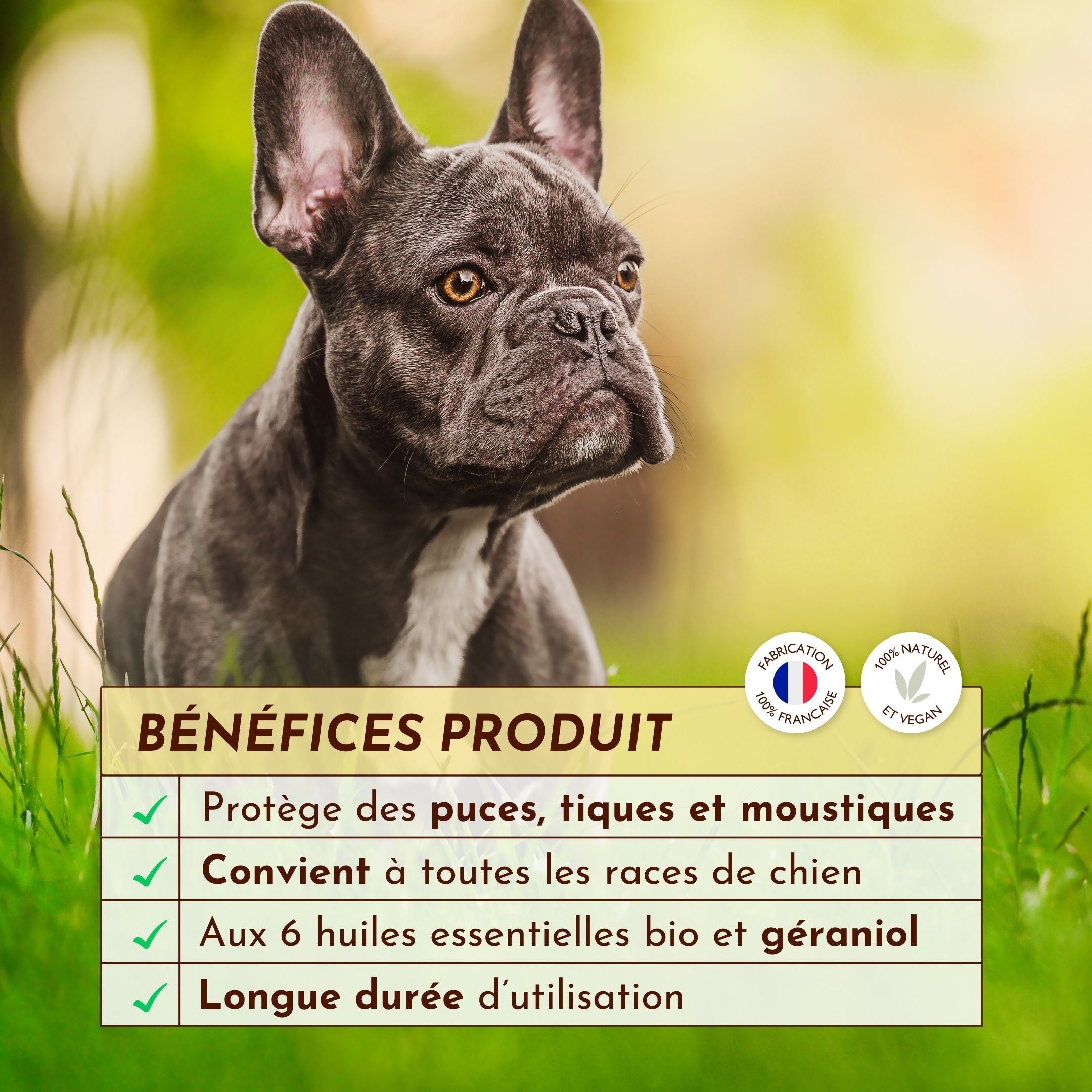 Antiparasitaire pour chien : L&