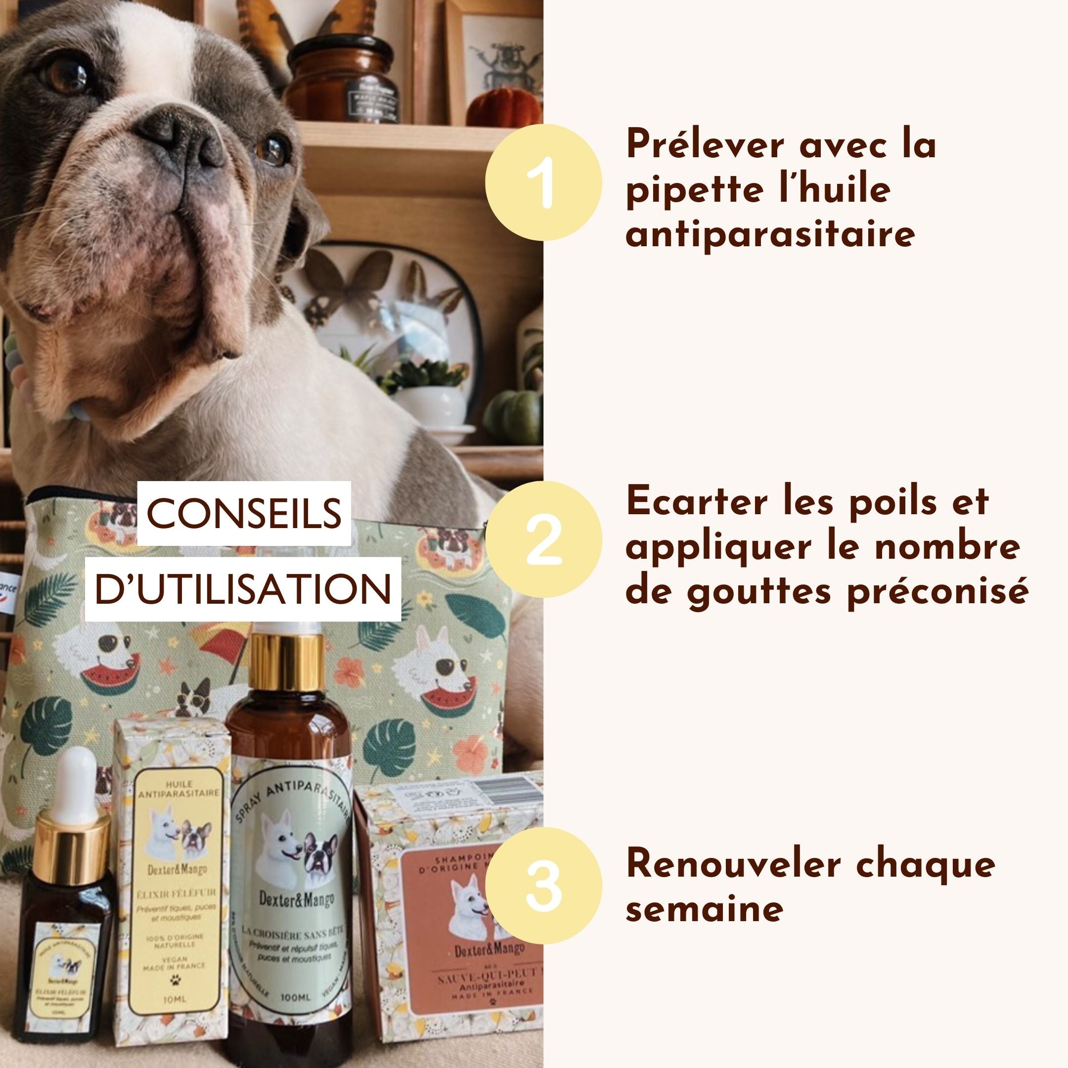 Antiparasitaire pour chien : L&