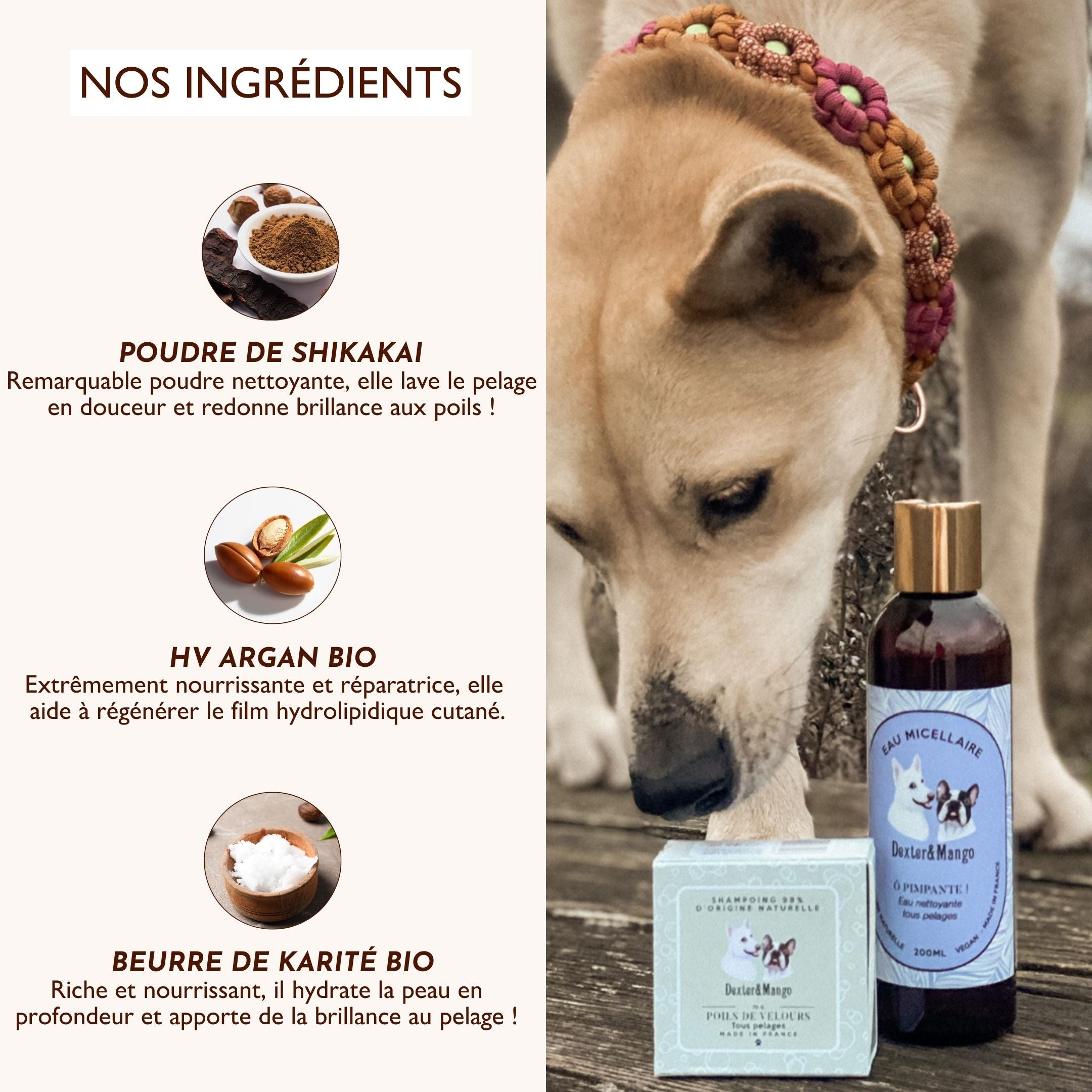 Shampoing solide universel pour chien : Poils de velours