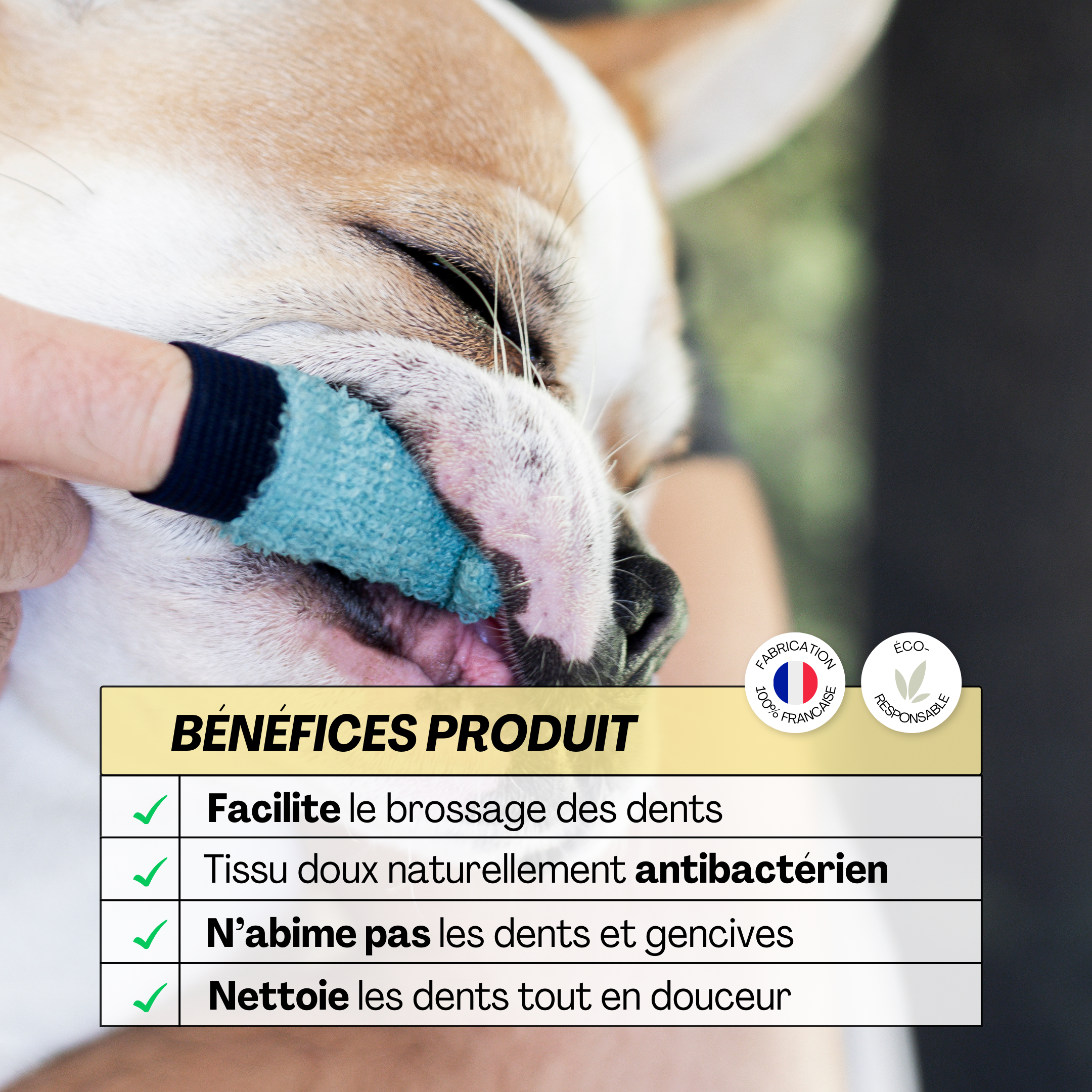 Brosse à dents D&M