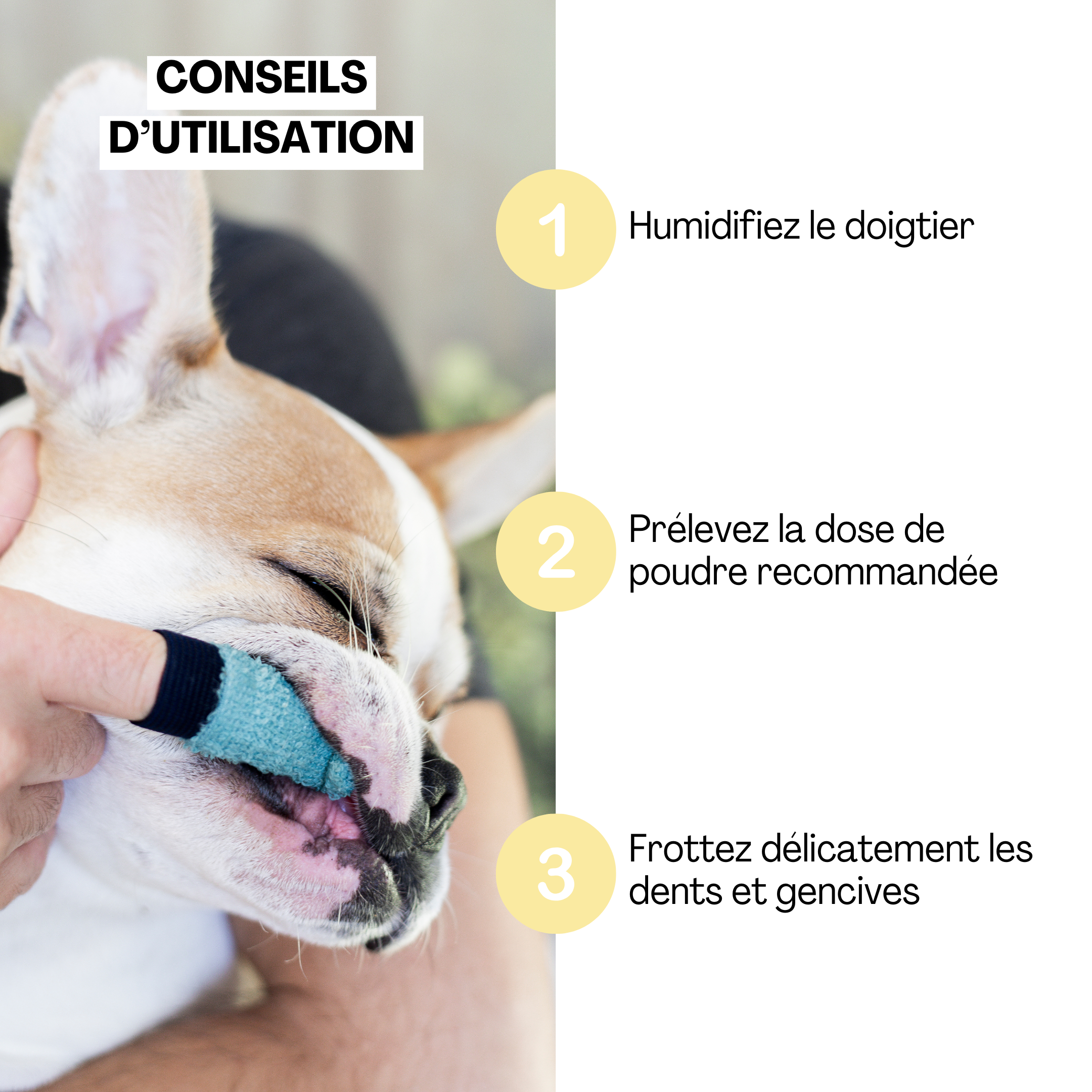 Brosse à dents D&M