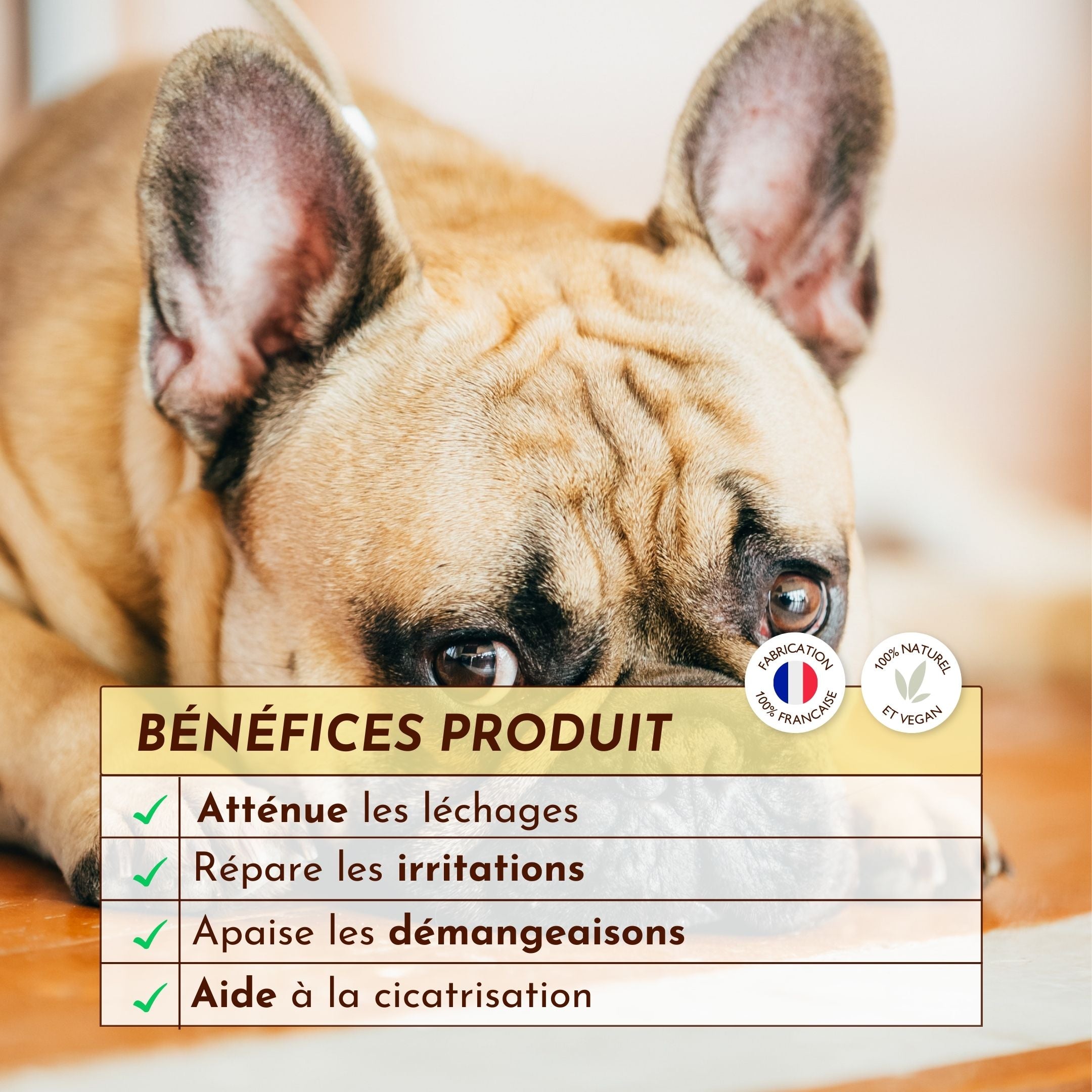Chien allongé avec encadré des bénéfices du baume : soulage les démangeaisons, répare les irritations, atténue les léchages, favorise la cicatrisation.