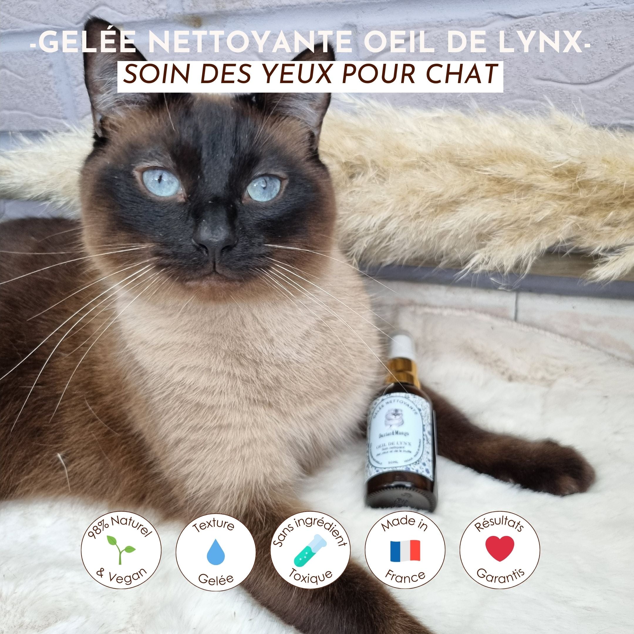 Chat Siamois posé sur un tapis à côté de la gelée nettoyante “Œil de Lynx” de Dexter & Mango.