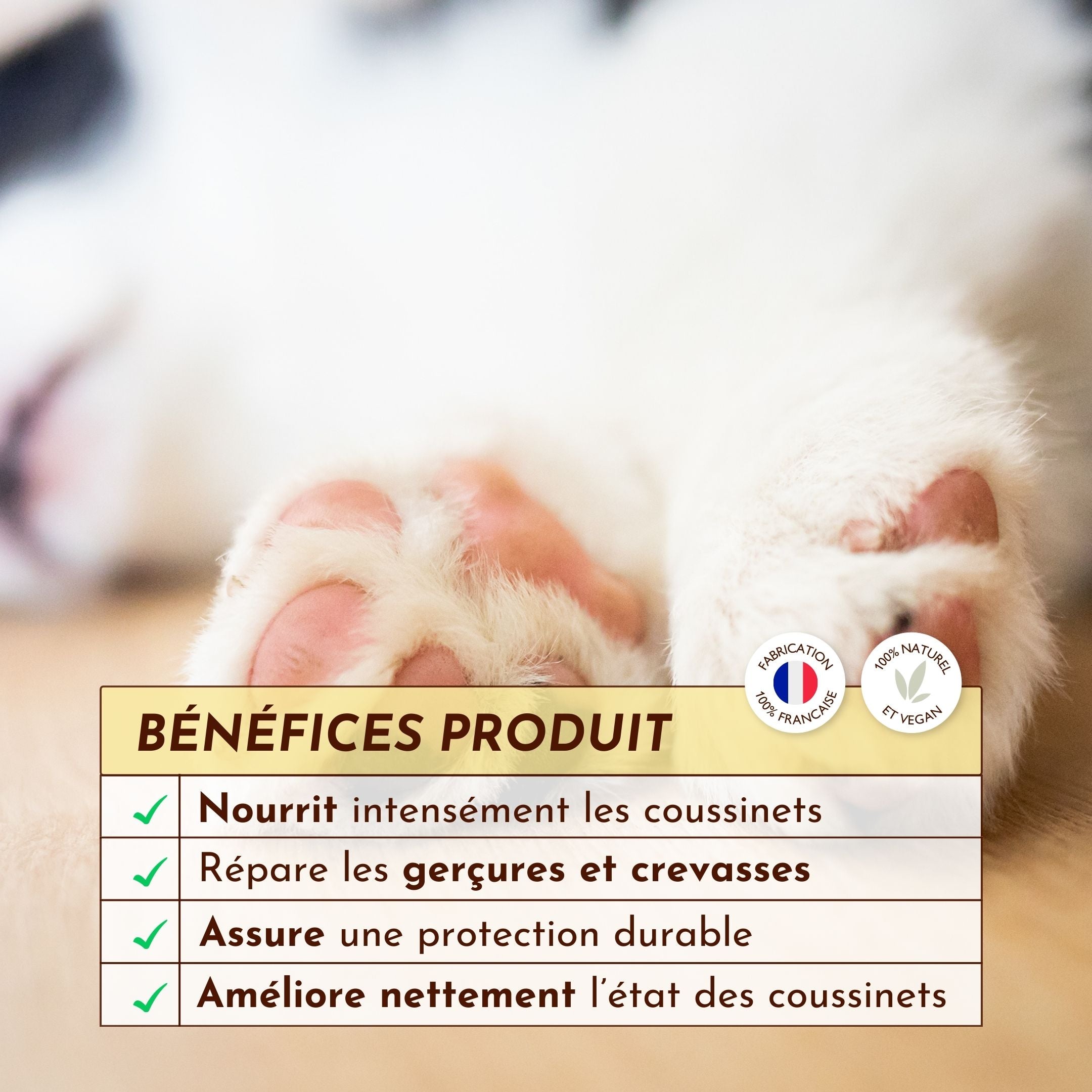 Tableau des bienfaits du stick Doux Coussinets : nourrit, répare les gerçures, assure une protection durable et améliore l’état des coussinets.