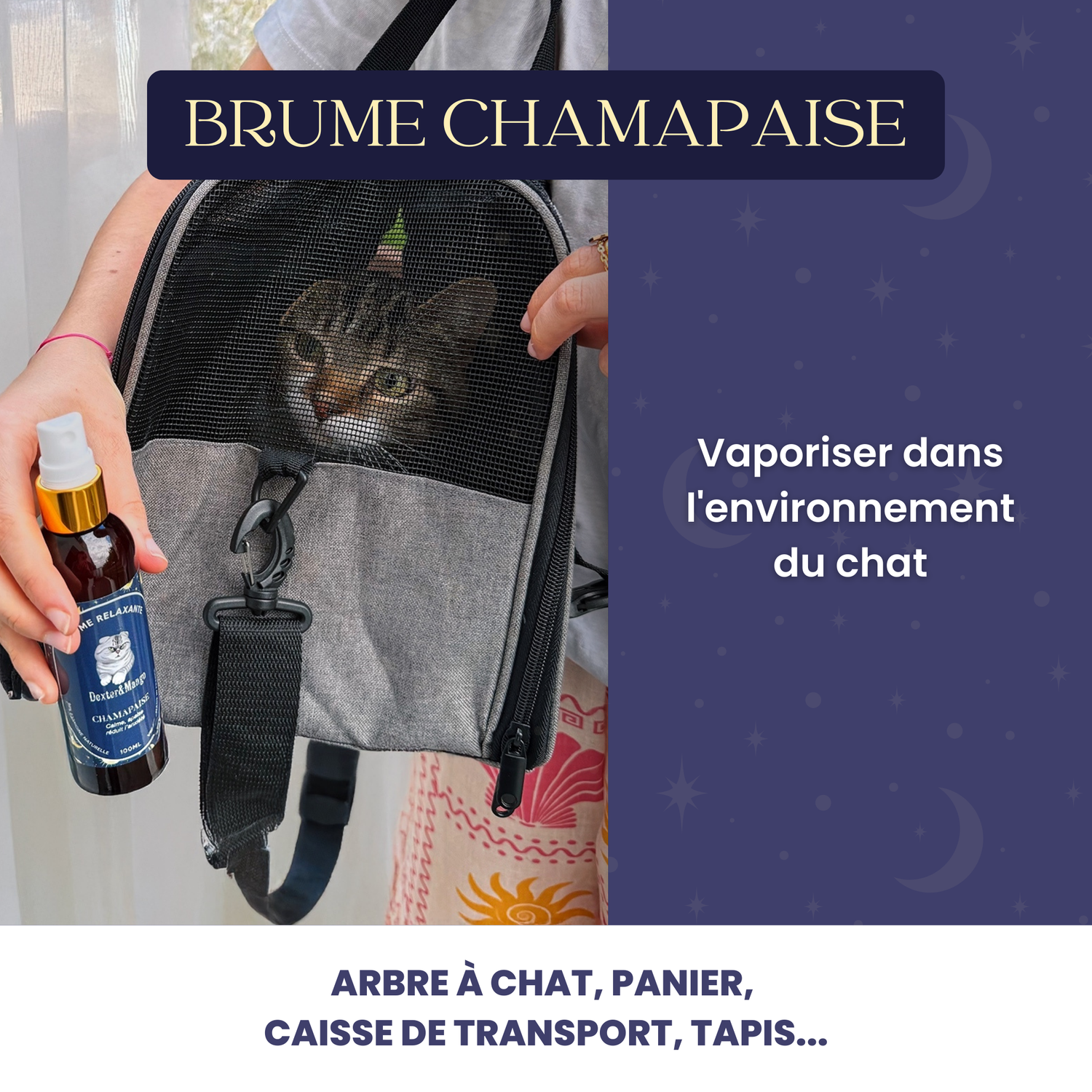 Application de la brume relaxante Chamapaise dans l’environnement du chat – caisse de transport