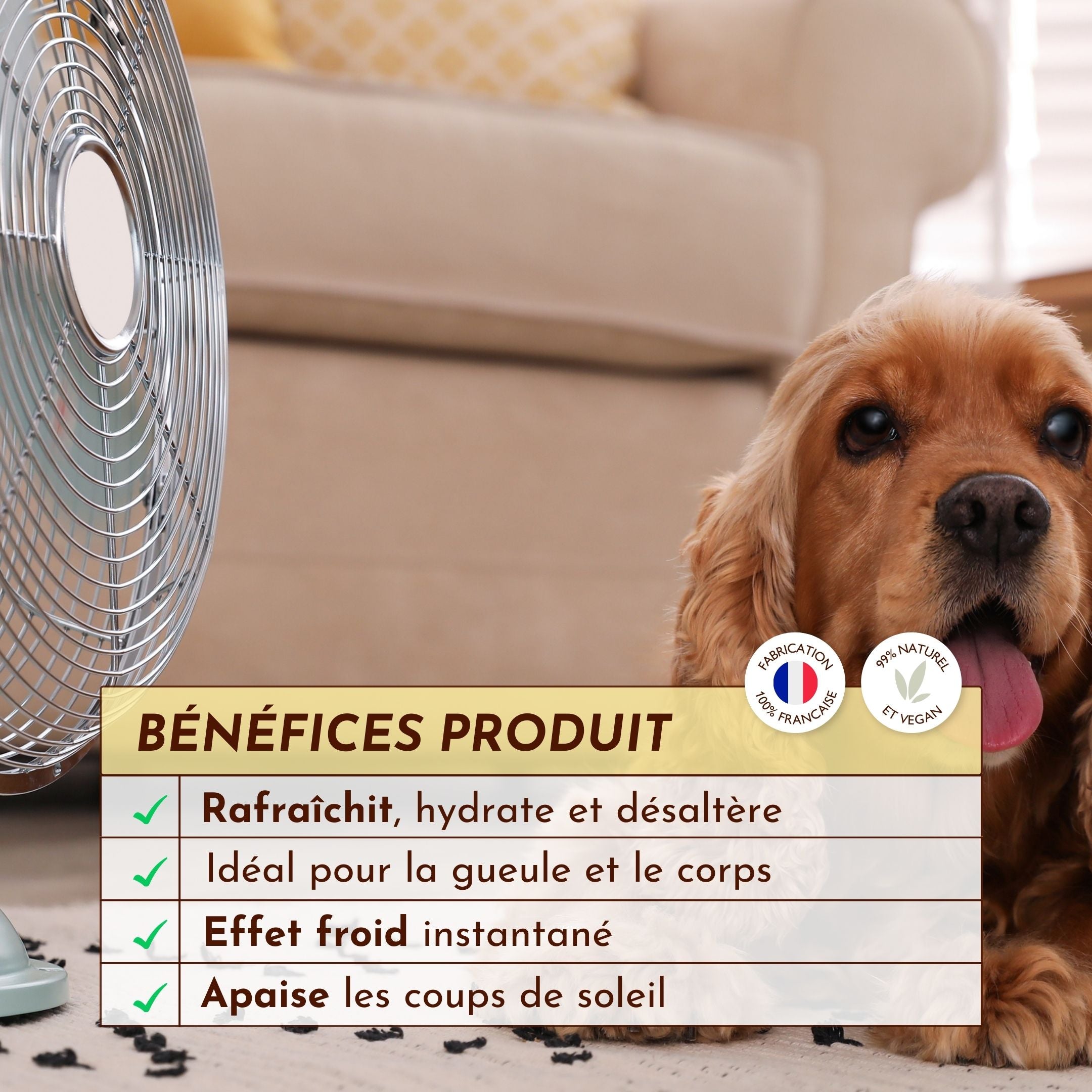 Tableau des bienfaits de la brume Fée du Frais : effet rafraîchissant, hydratation, désaltération et apaisement des coups de soleil.