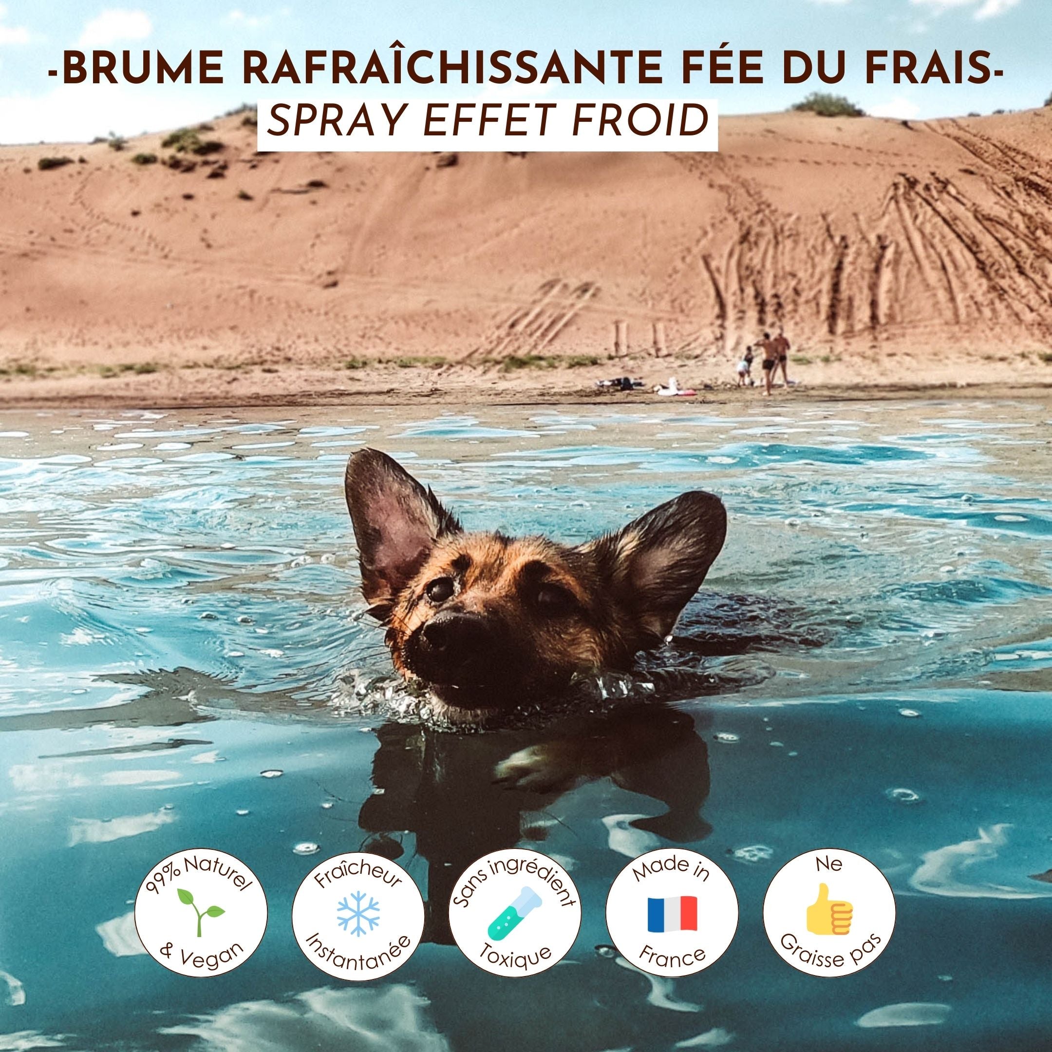 Chien nageant dans l’eau, illustration de la fraîcheur apportée par la brume Fée du Frais.