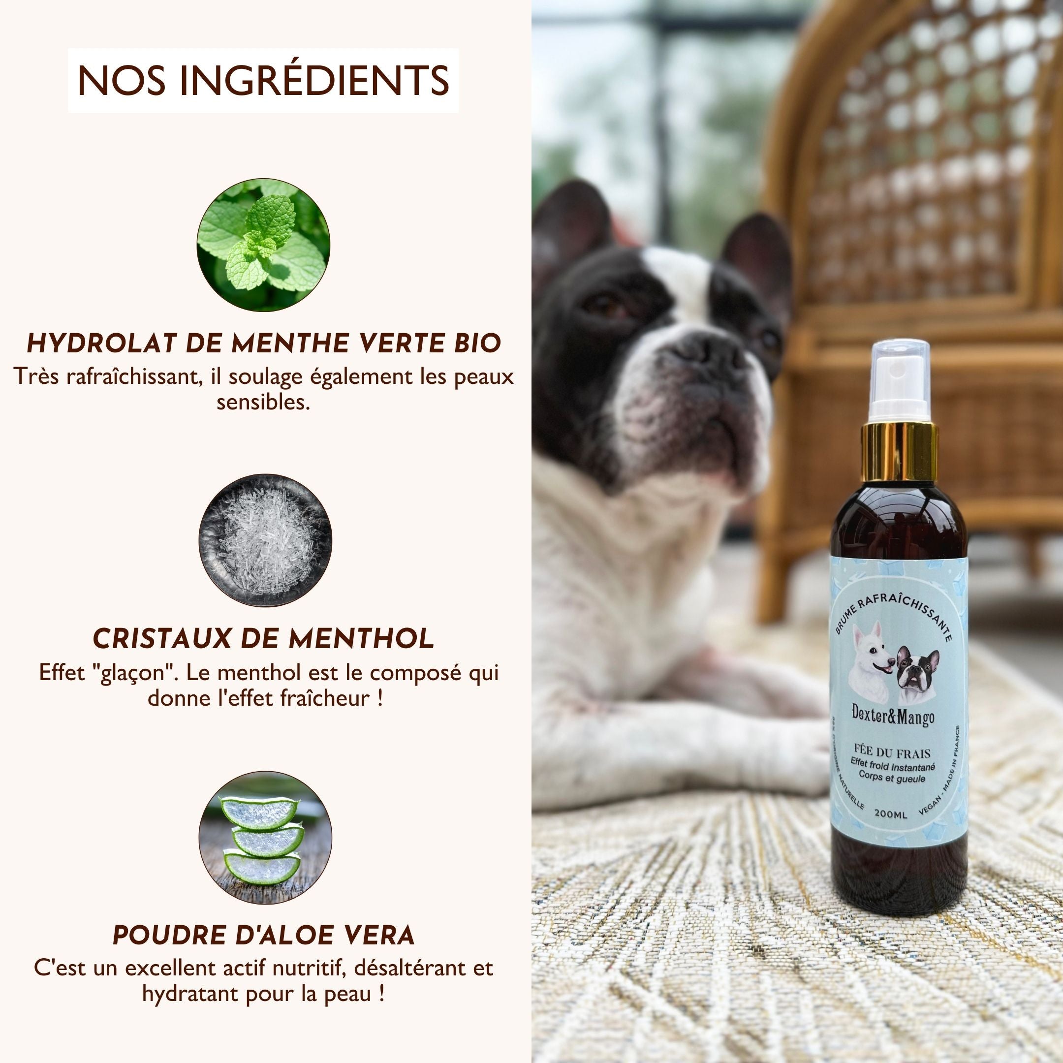 Ingrédients de la brume Fée du Frais : hydrolat de menthe verte bio, cristaux de menthol et poudre d’aloe vera.