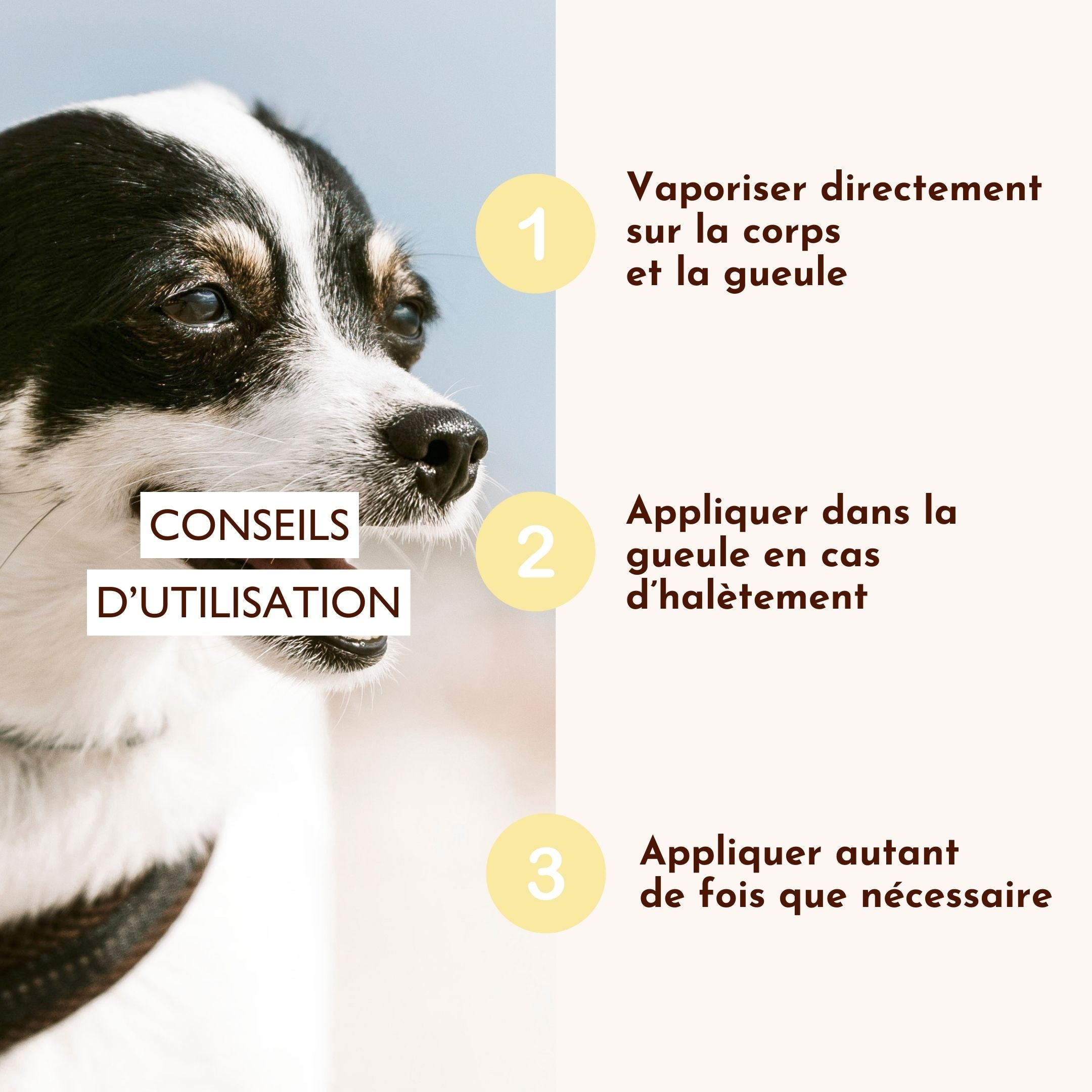Conseils d’utilisation de la brume rafraîchissante Fée du Frais : vaporiser sur le corps et la gueule du chien en cas de chaleur.