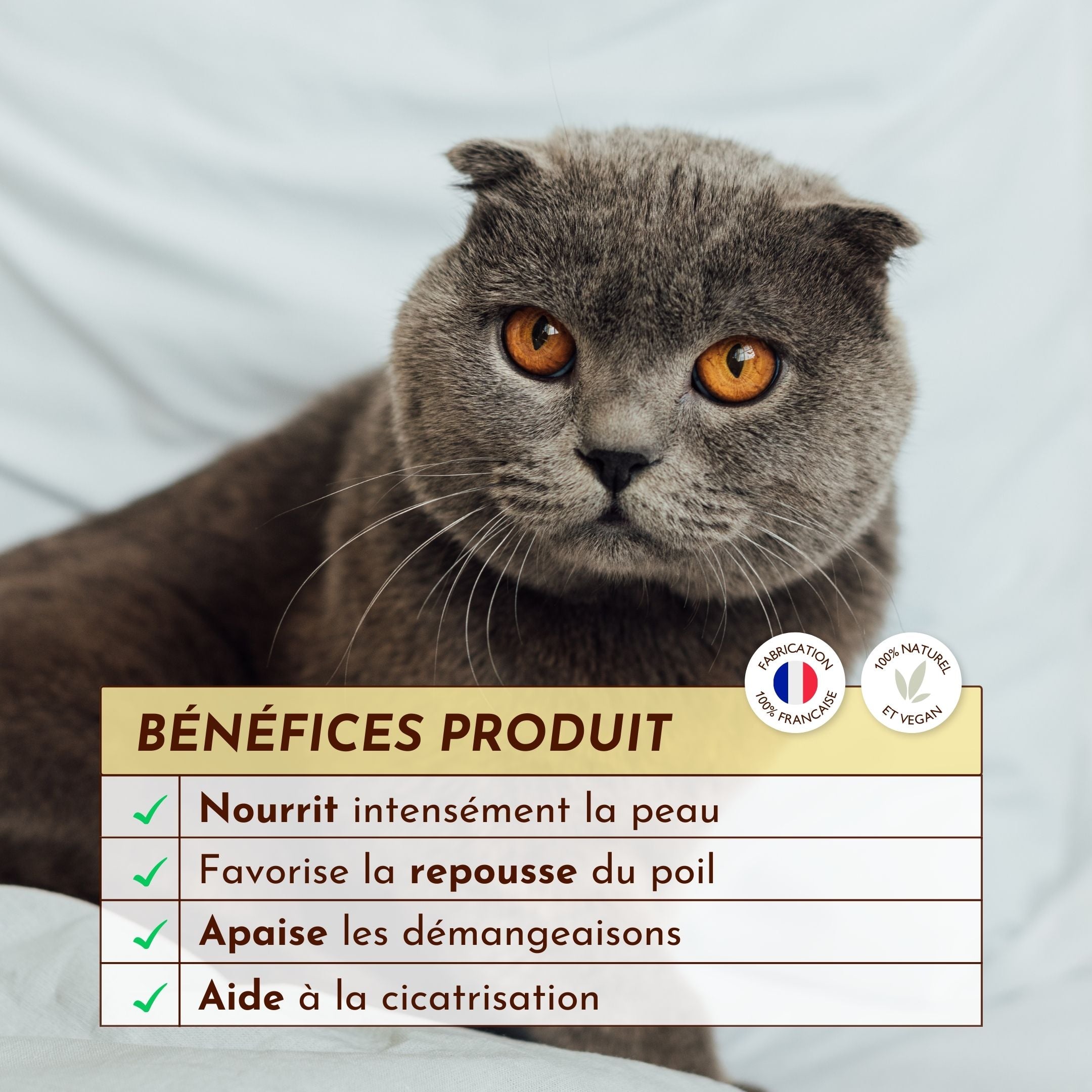 Chat allongé avec encart des bienfaits du baume Chaman : nourrit, apaise, aide à la cicatrisation