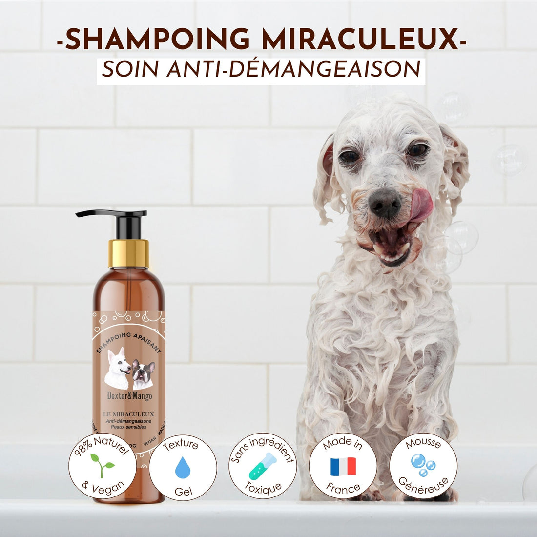 Chien prenant son bain avec le shampoing “Le Miraculeux”, soin anti-démangeaison naturel de Dexter & Mango.