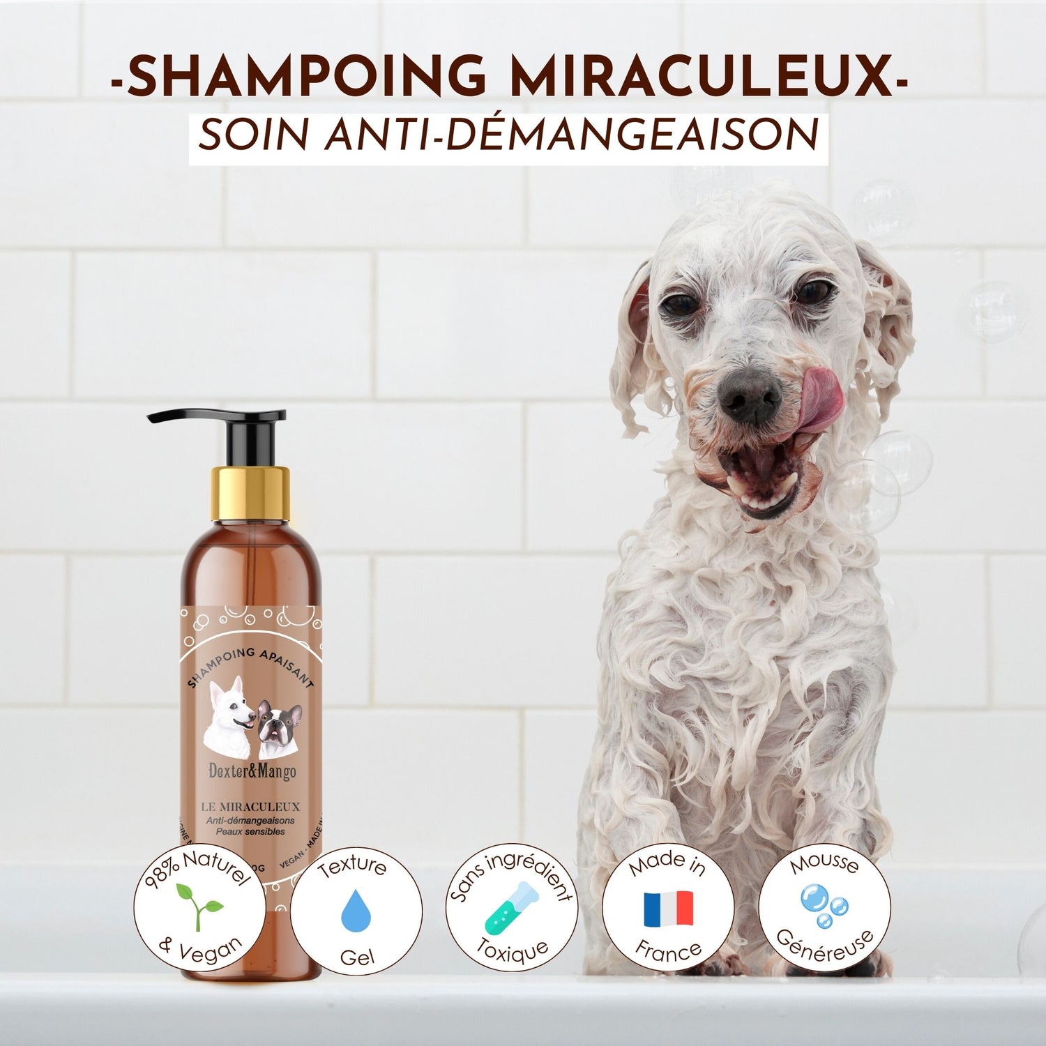 Chien prenant son bain avec le shampoing “Le Miraculeux”, soin anti-démangeaison naturel de Dexter & Mango.