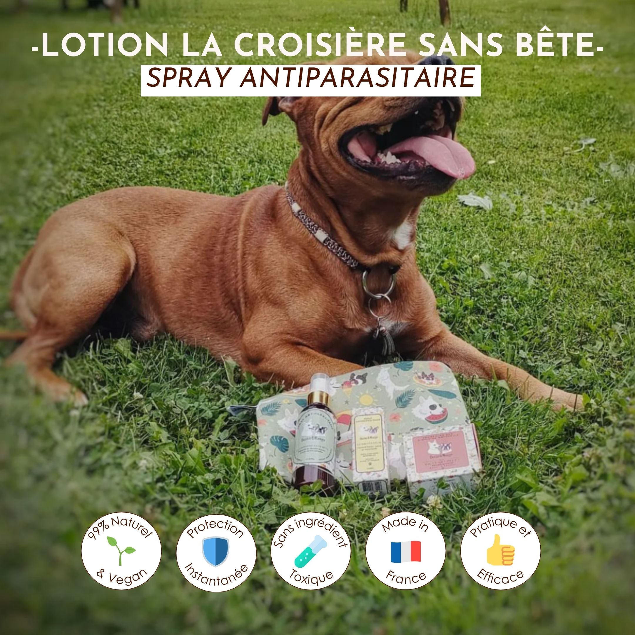 Chien allongé dans l’herbe à côté de la lotion antiparasitaire “La Croisière sans Bête” et d’autres produits naturels.