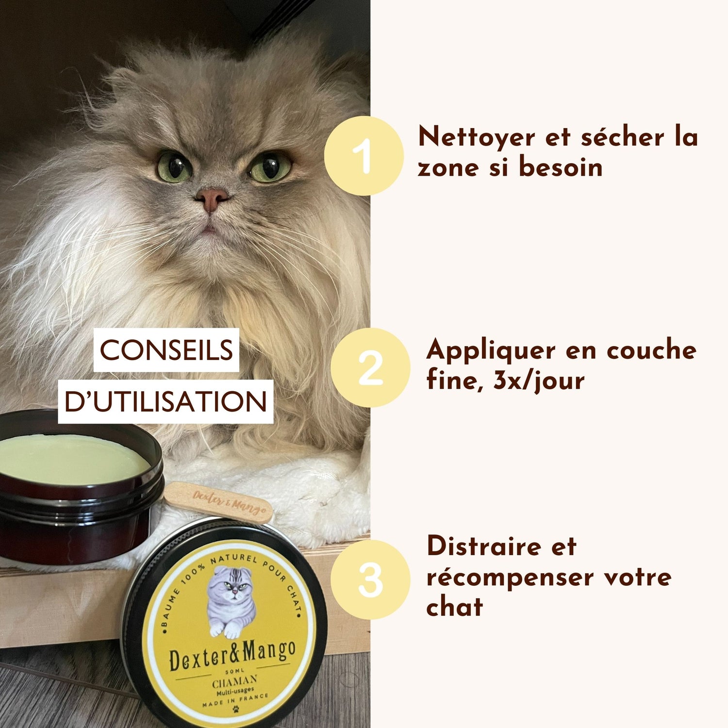 Conseils d’utilisation du baume Chaman pour chat : nettoyer, appliquer, récompenser