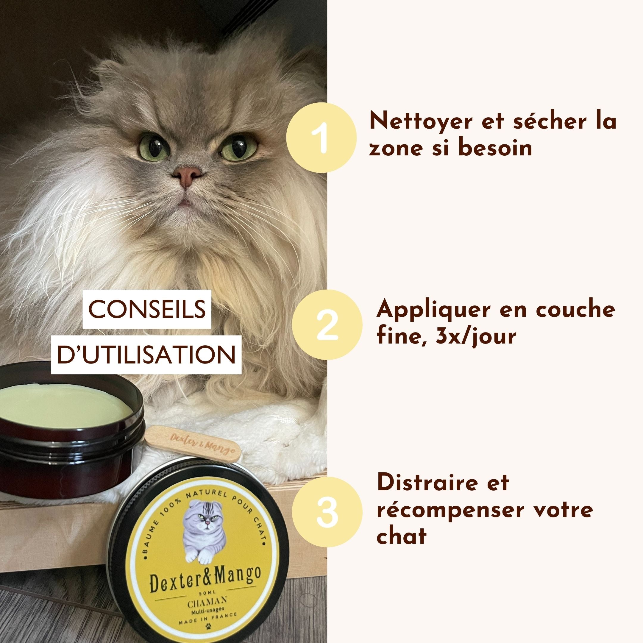 Conseils d’utilisation du baume Chaman pour chat : nettoyer, appliquer, récompenser