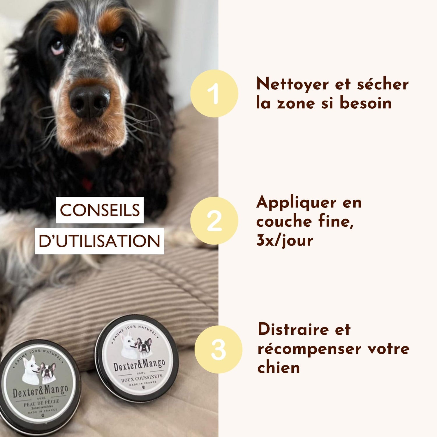 Étapes d’utilisation du baume Peau de Pêche sur un chien à poils longs