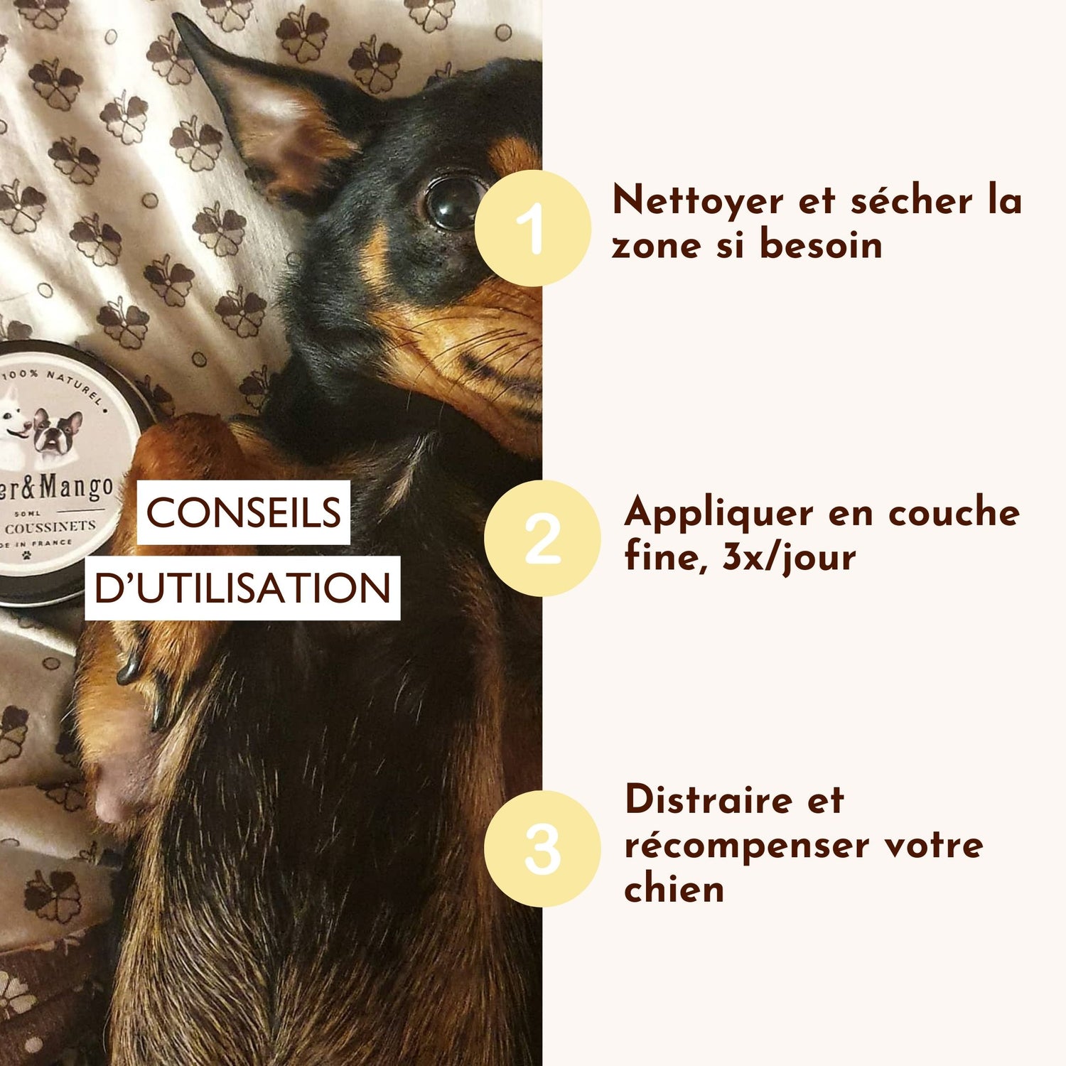 Chien allongé avec baume Doux Coussinet et conseils d’utilisation à droite