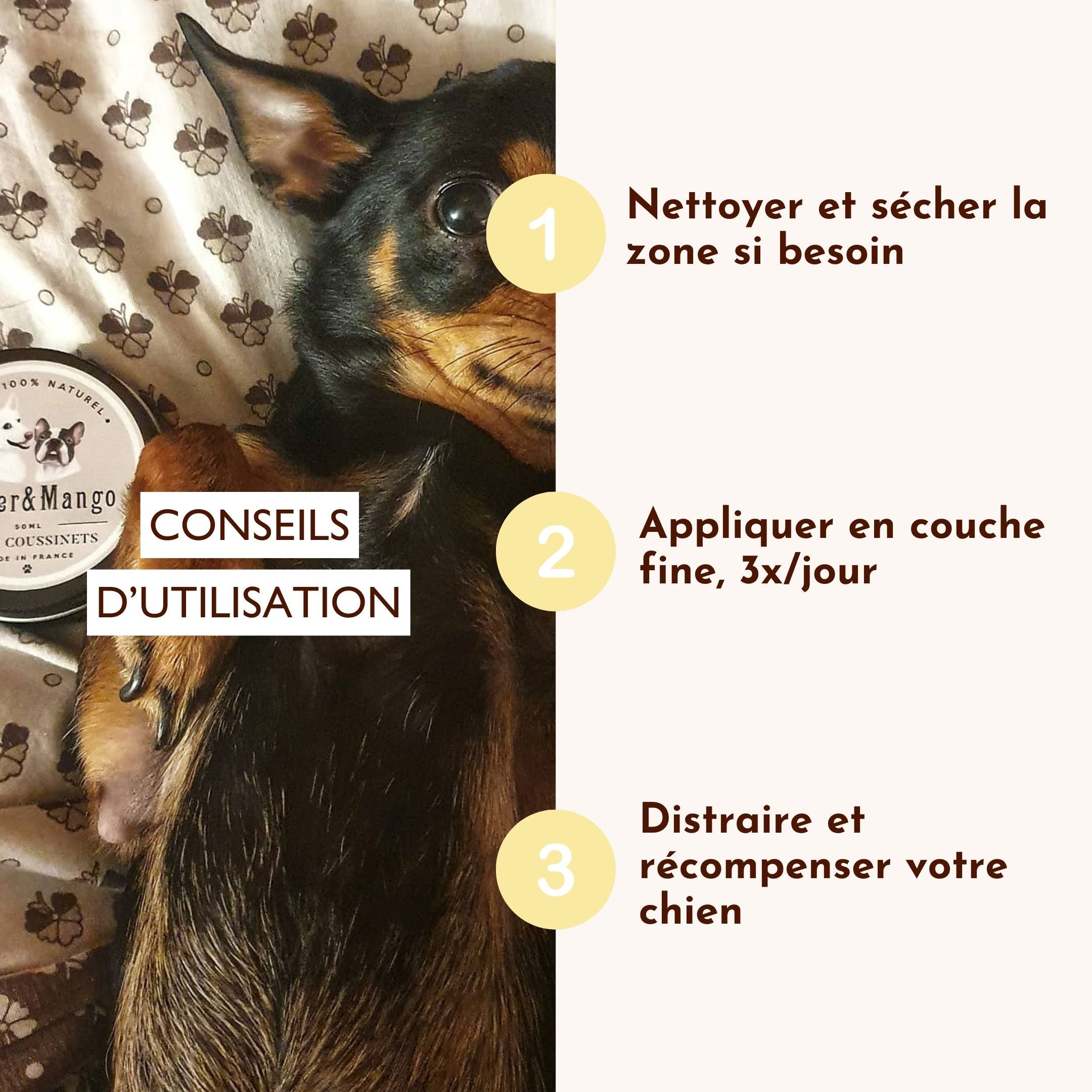 Chien allongé avec baume Doux Coussinet et conseils d’utilisation à droite