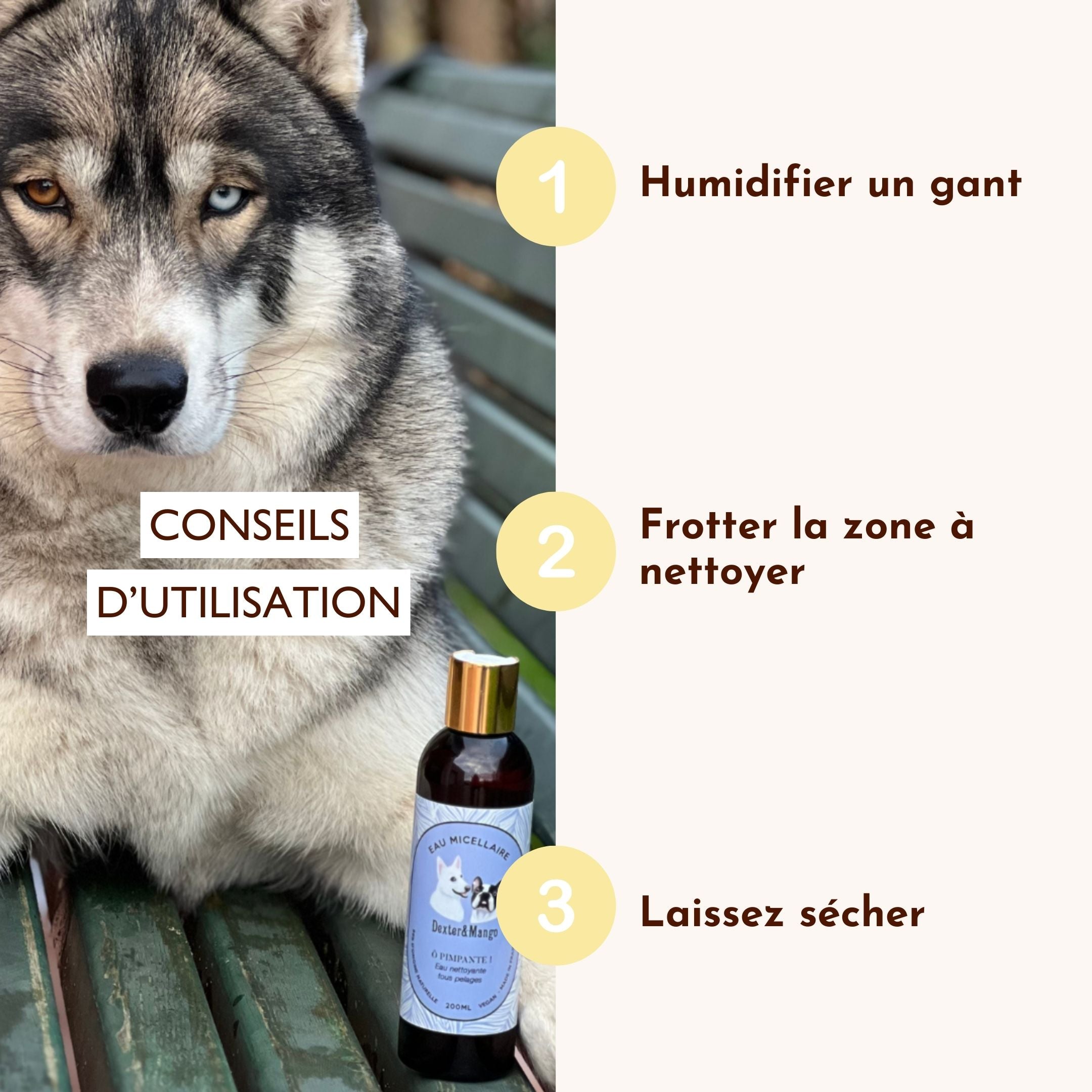 Chien husky avec bouteille Ô Pimpante et consignes d’utilisation sur fond beige.