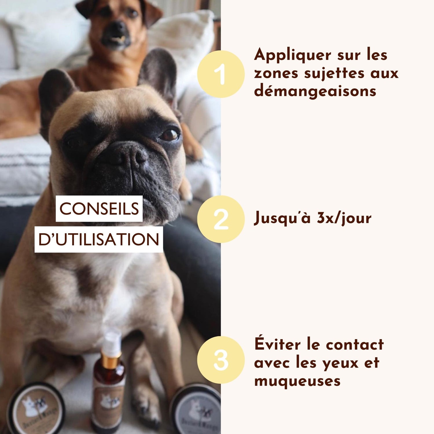 Conseils d’utilisation de l’eau miraculeuse pour soulager les démangeaisons du chien