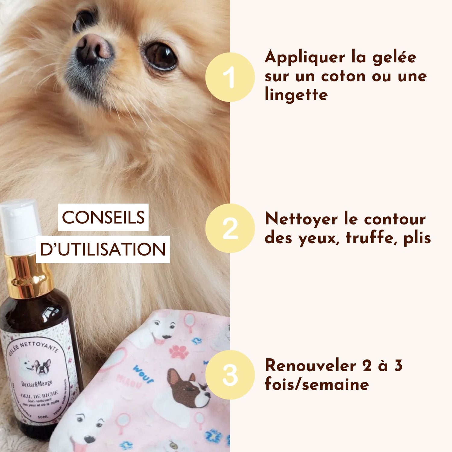 Petit chien Pomeranian avec la gelée nettoyante Oeil de Biche et un guide d’utilisation