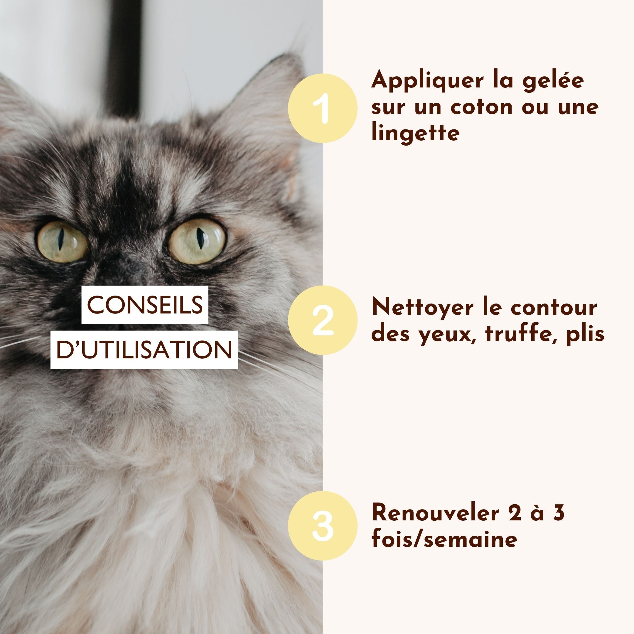 Chat aux yeux verts accompagné des instructions d’utilisation de la gelée nettoyante “Œil de Lynx