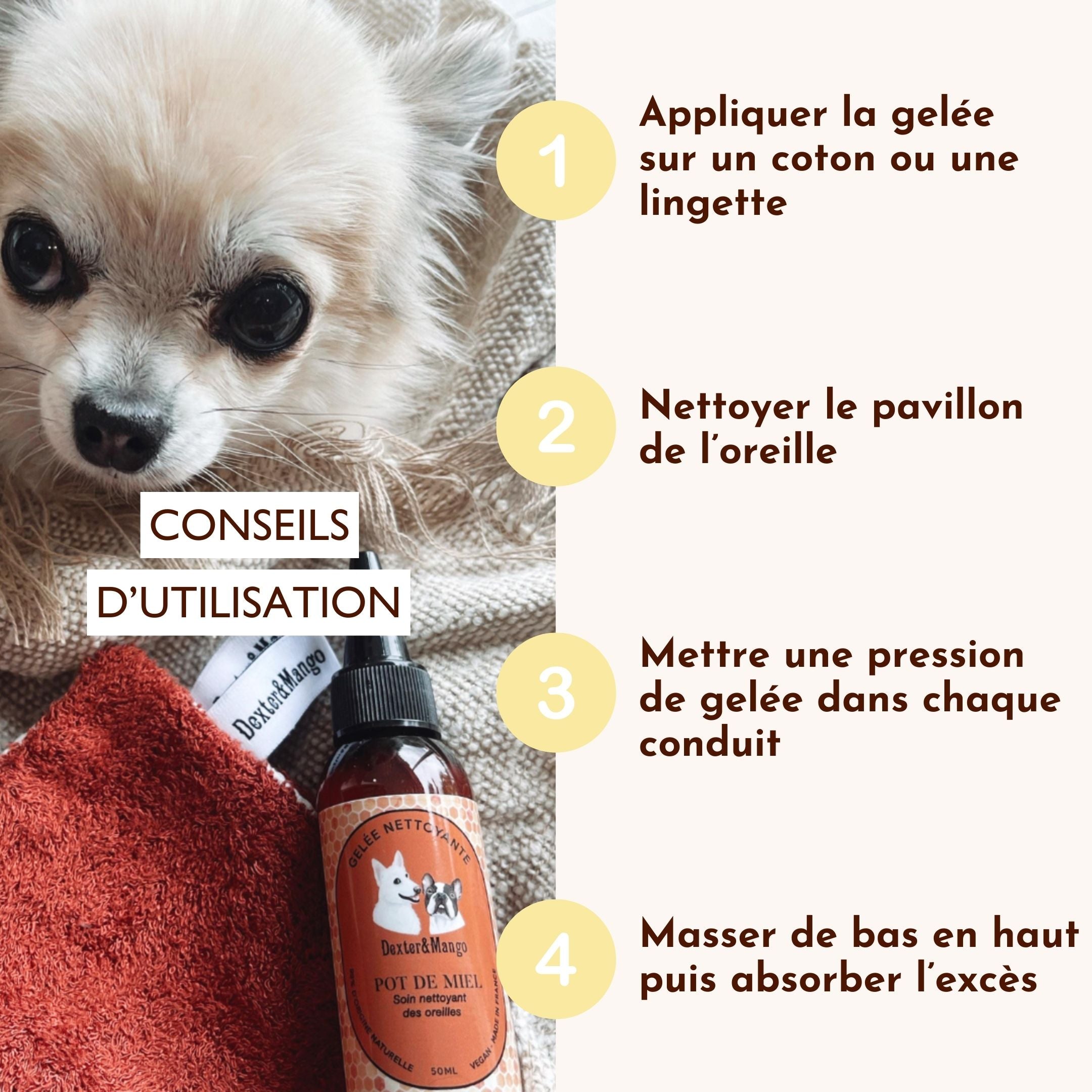 Conseils d’utilisation de la gelée nettoyante pour les oreilles du chien Pot de Miel