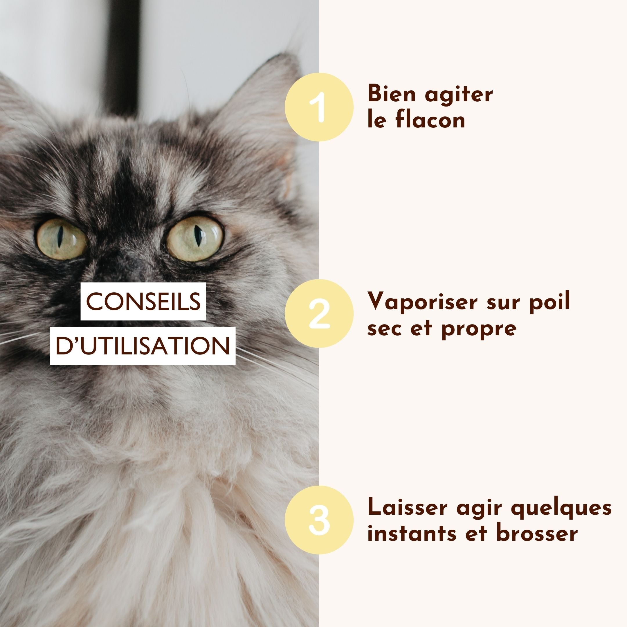 Conseils d’utilisation – Lotion Nutri Repair Cachemire pour nourrir et réparer le pelage.