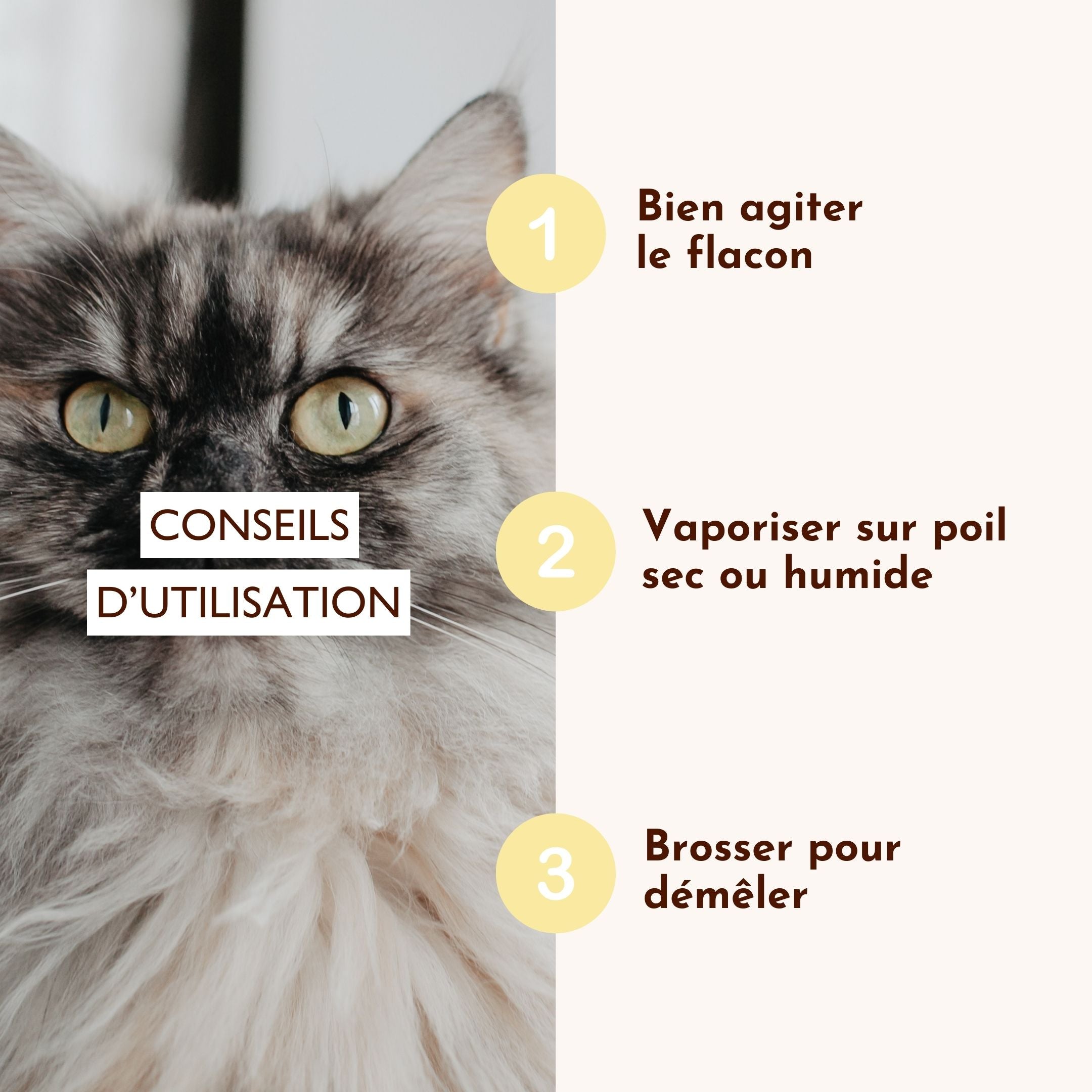 Mode d’emploi de la lotion démêlante Rebel : bien agiter, vaporiser et brosser pour un poil sans nœuds.