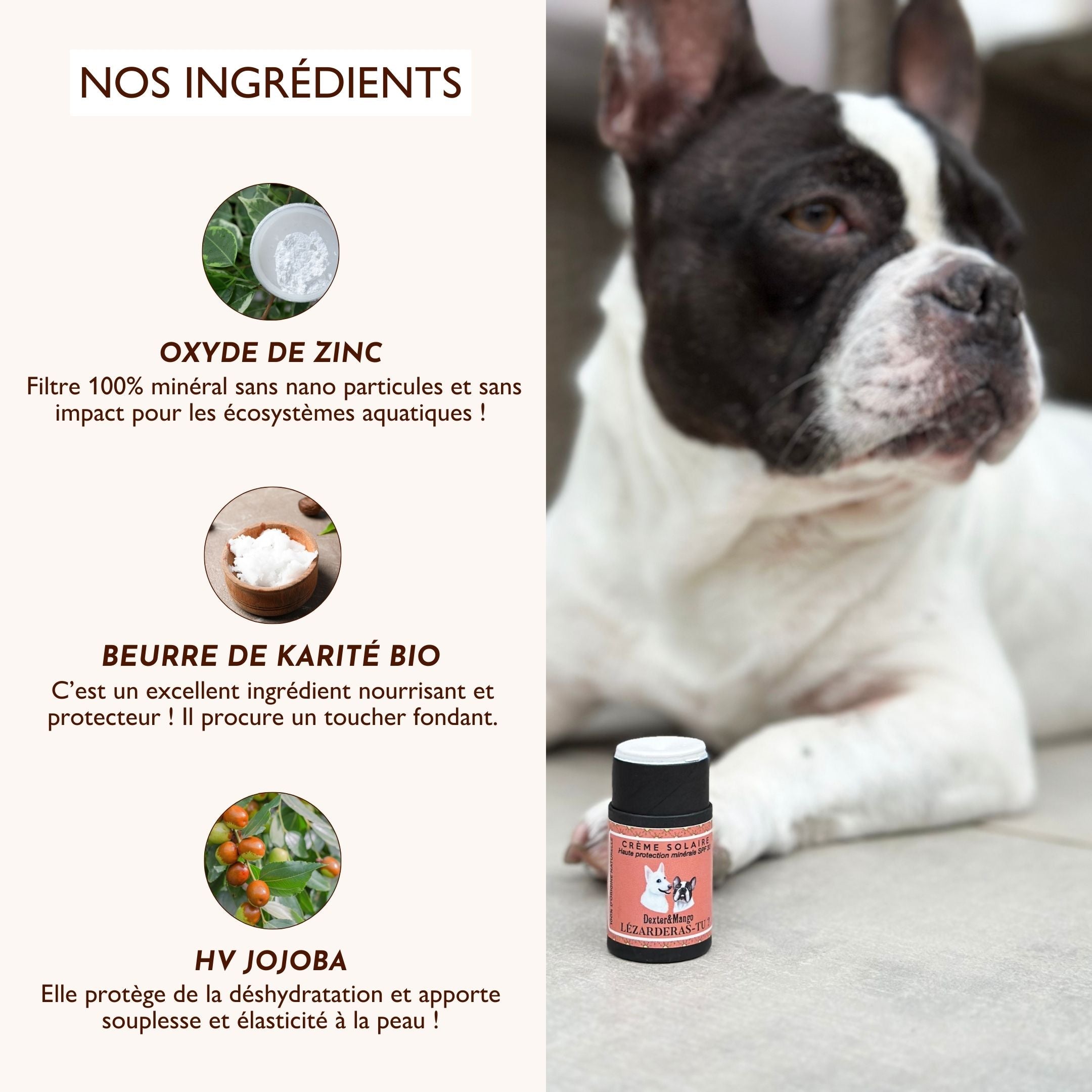 Crème solaire SPF30 pour chien et chat, ingrédients naturels (oxyde de zinc, beurre de karité, huile de jojoba)