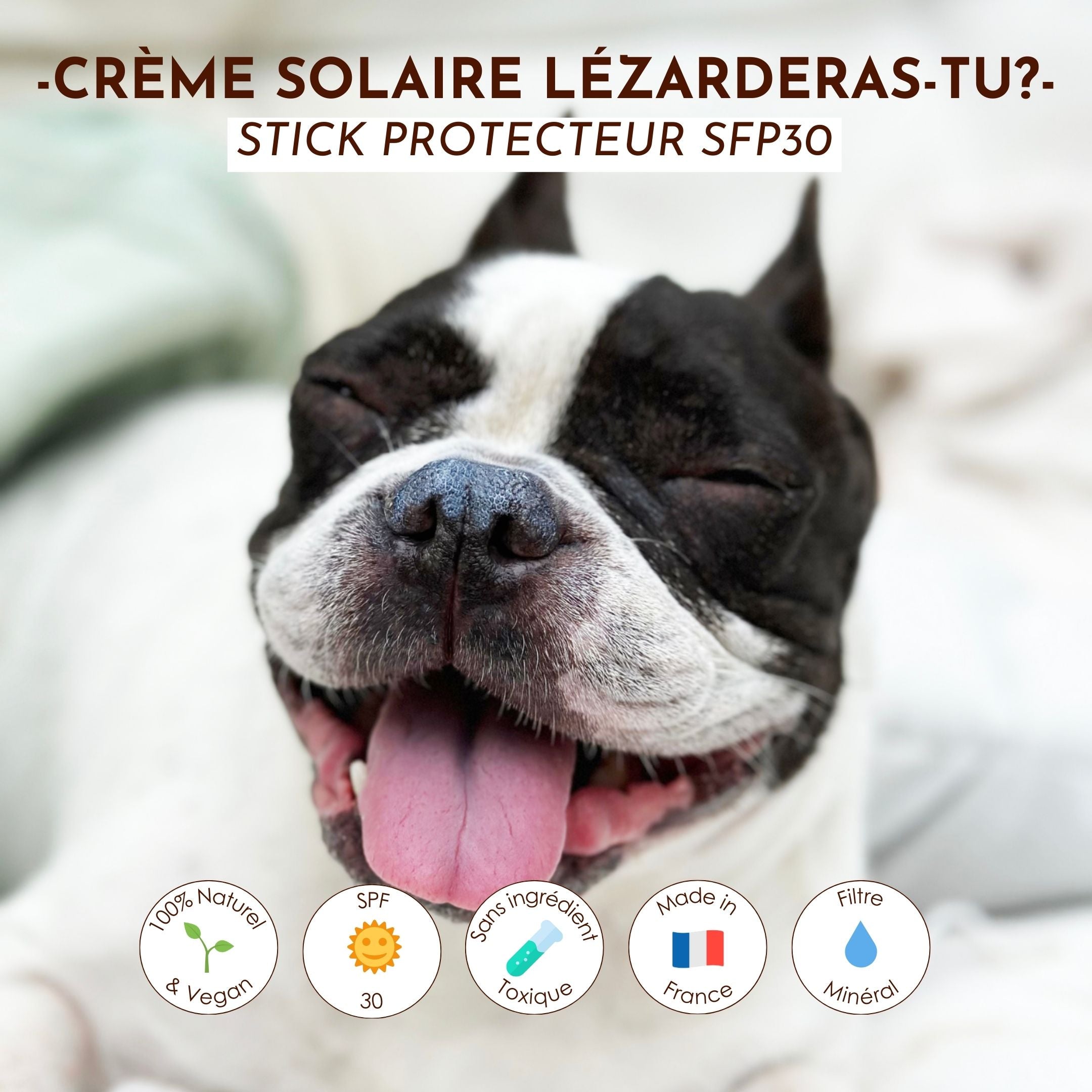 Chien heureux avec la crème solaire naturelle SPF30 Lézarderas-tu ? de Dexter & Mango