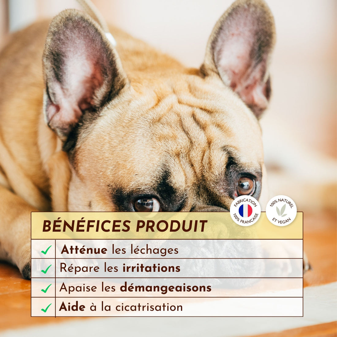Chien allongé avec focus sur les bienfaits du baume Le Miraculeux Dexter & Mango : atténue les léchages, apaise, répare