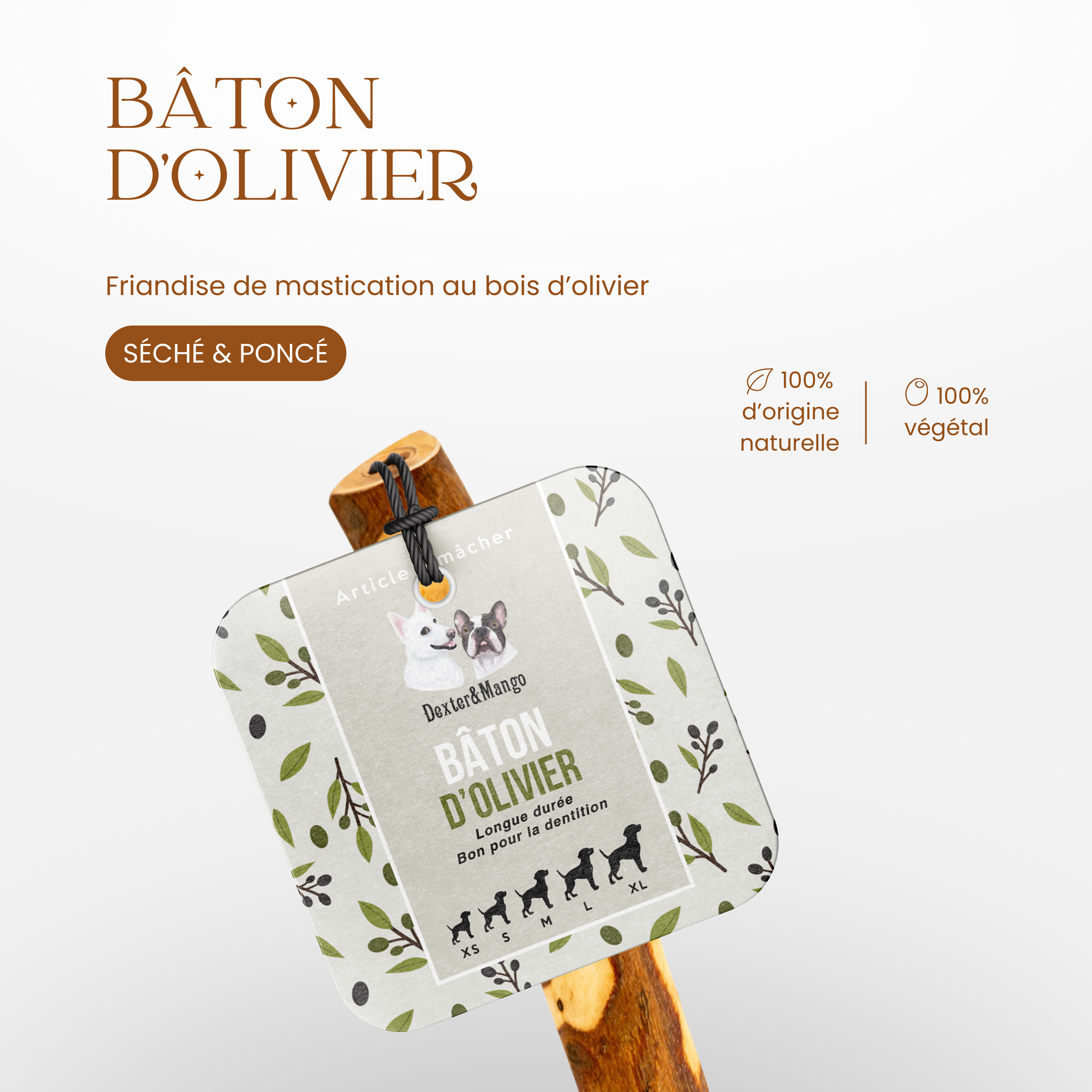 Friandise de mastication au bois d’olivier pour chien, séchée et poncée