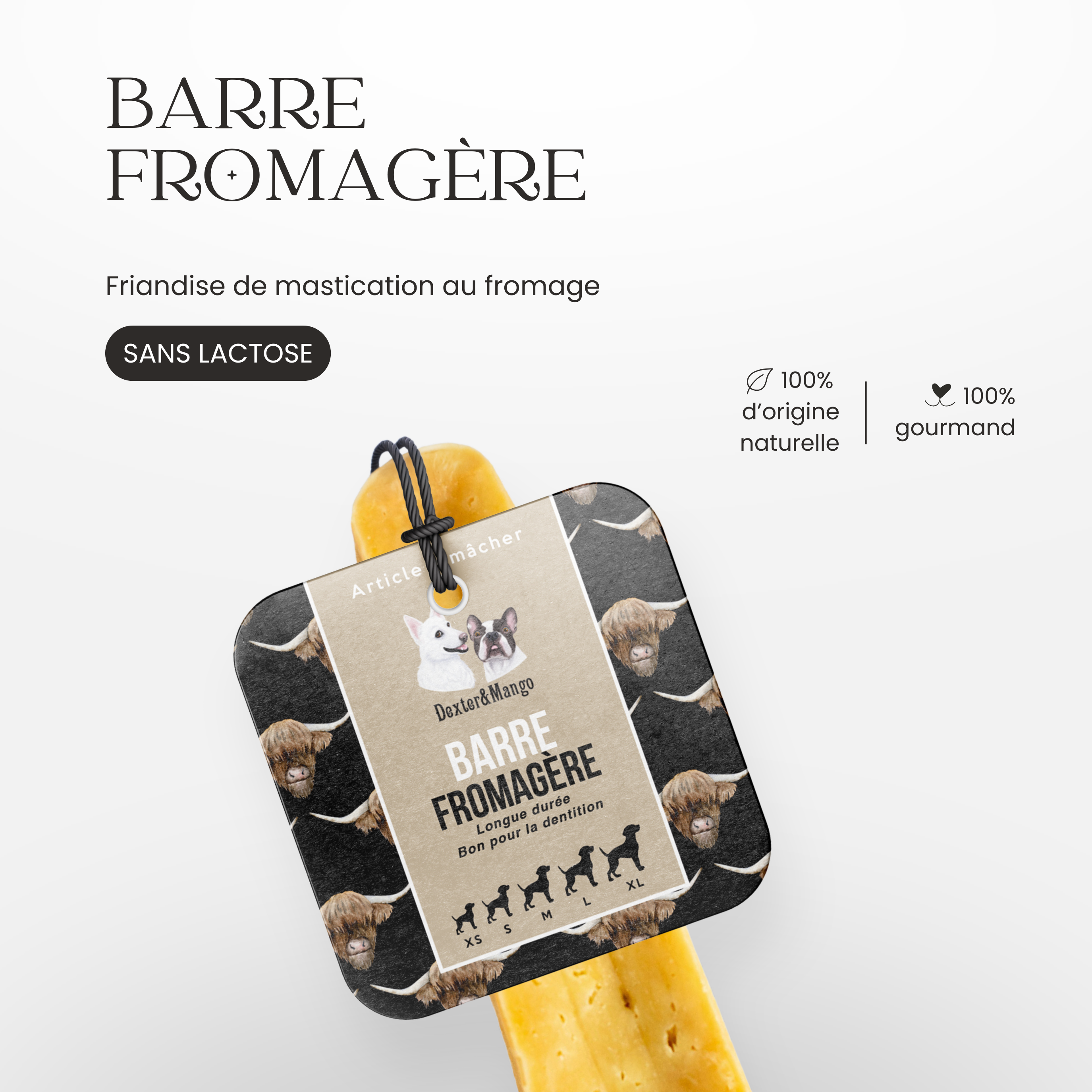 Friandise de mastication au fromage sans lactose pour chien